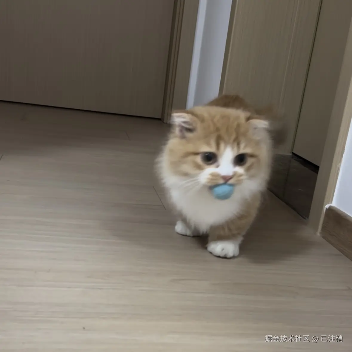 已注销于2024-11-07 09:59发布的图片