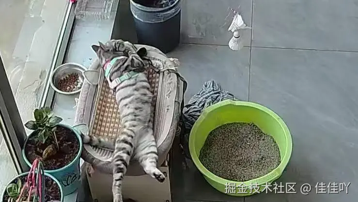佳佳吖于2026-06-05 01:23发布的图片