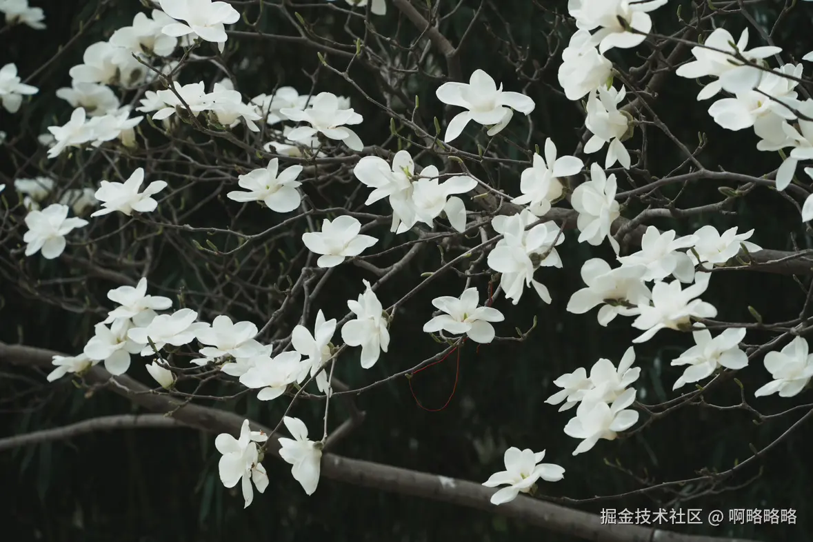 啊略略略于2025-03-24 10:24发布的图片