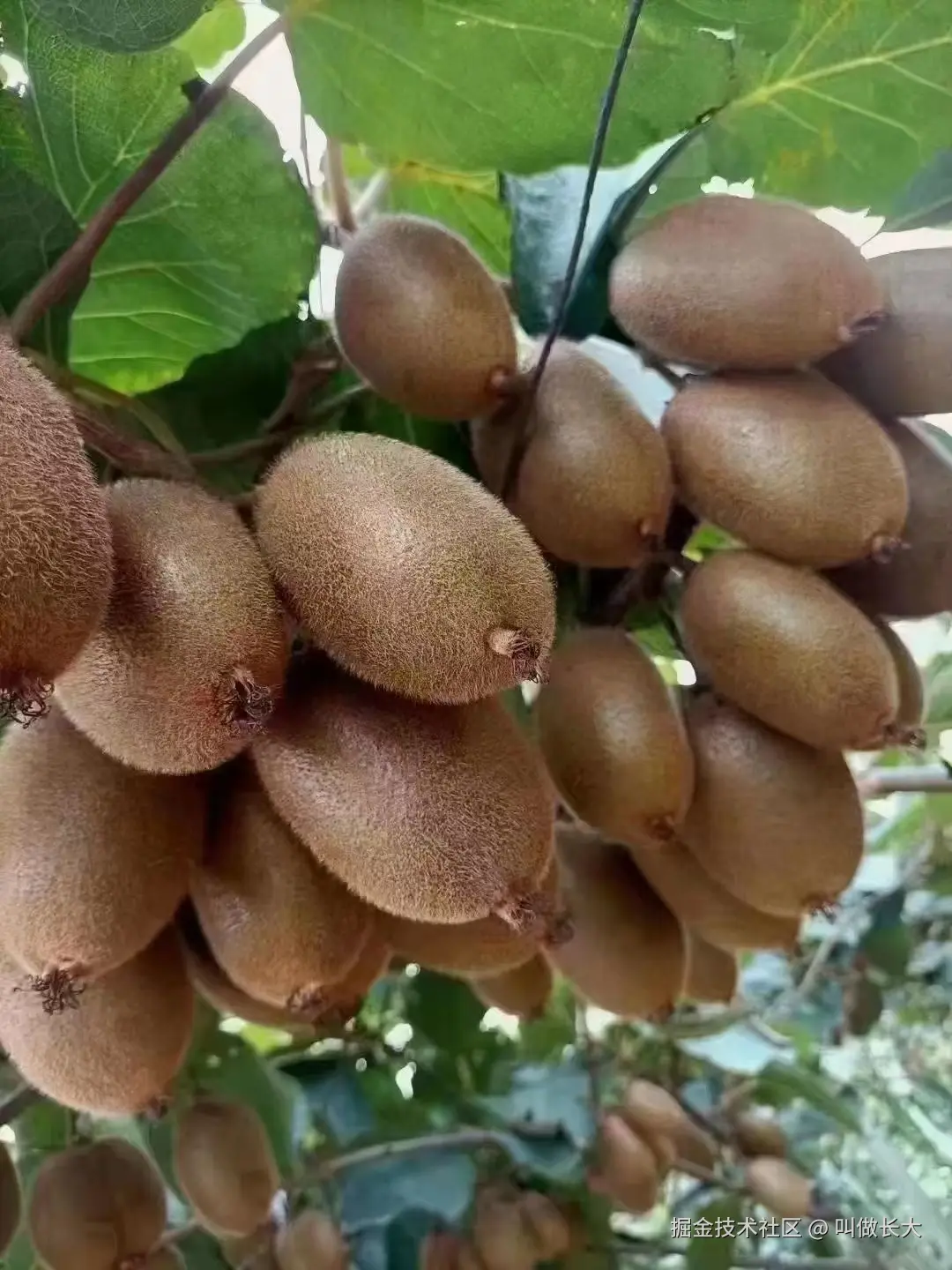 叫做长大于2025-09-16 14:47发布的图片