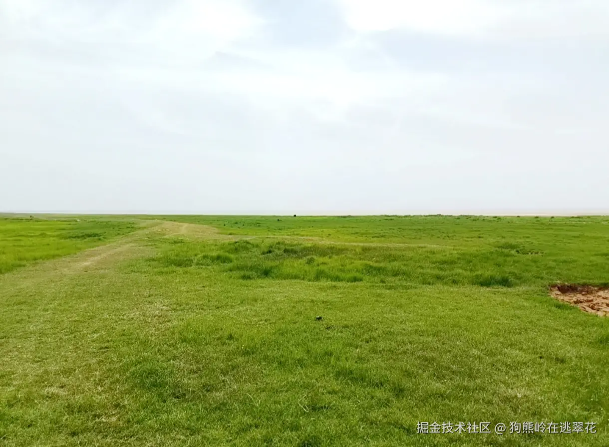 狗熊岭在逃翠花于2025-04-07 13:34发布的图片