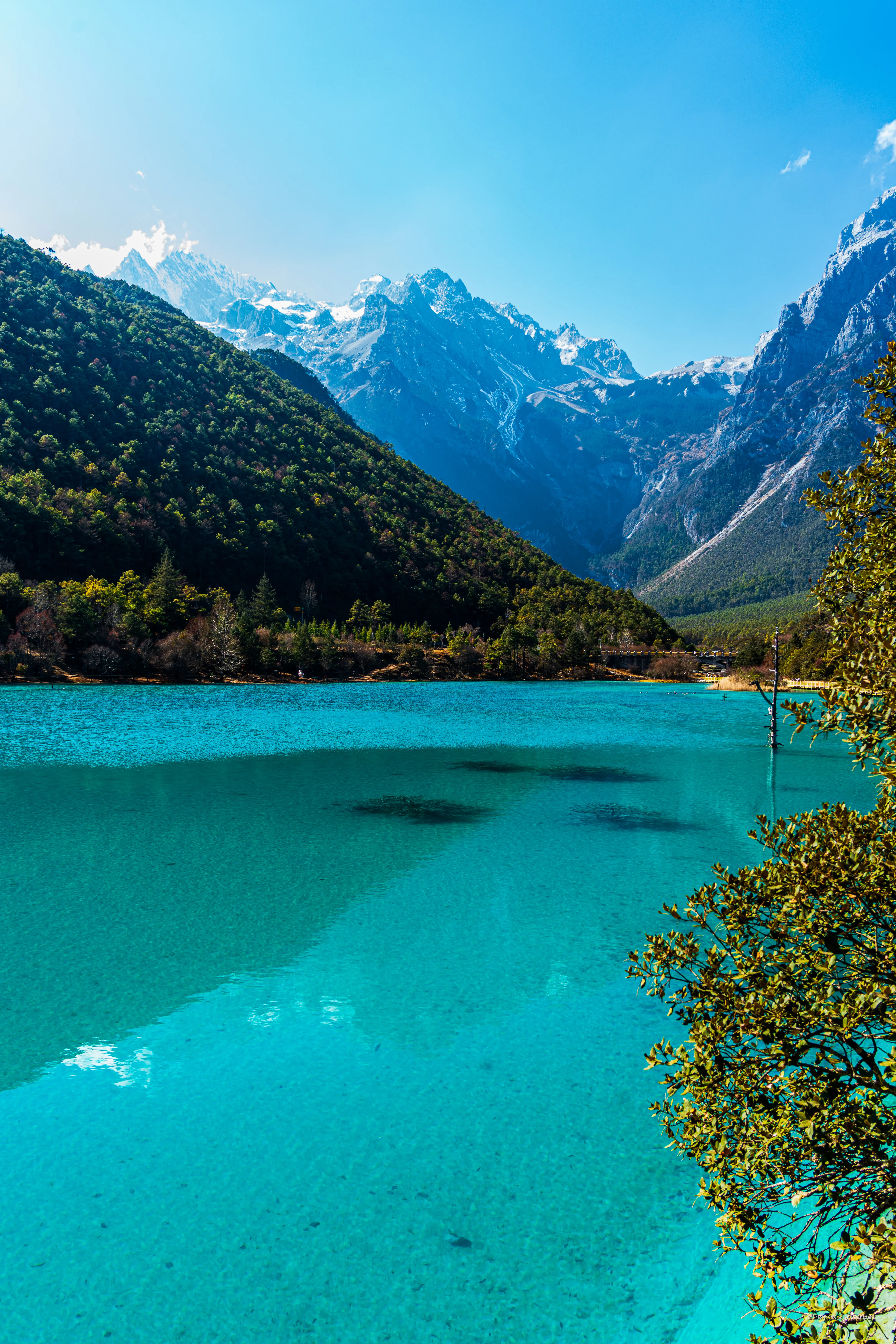 阿飞只想摸鱼于2026-02-11 14:55发布的图片