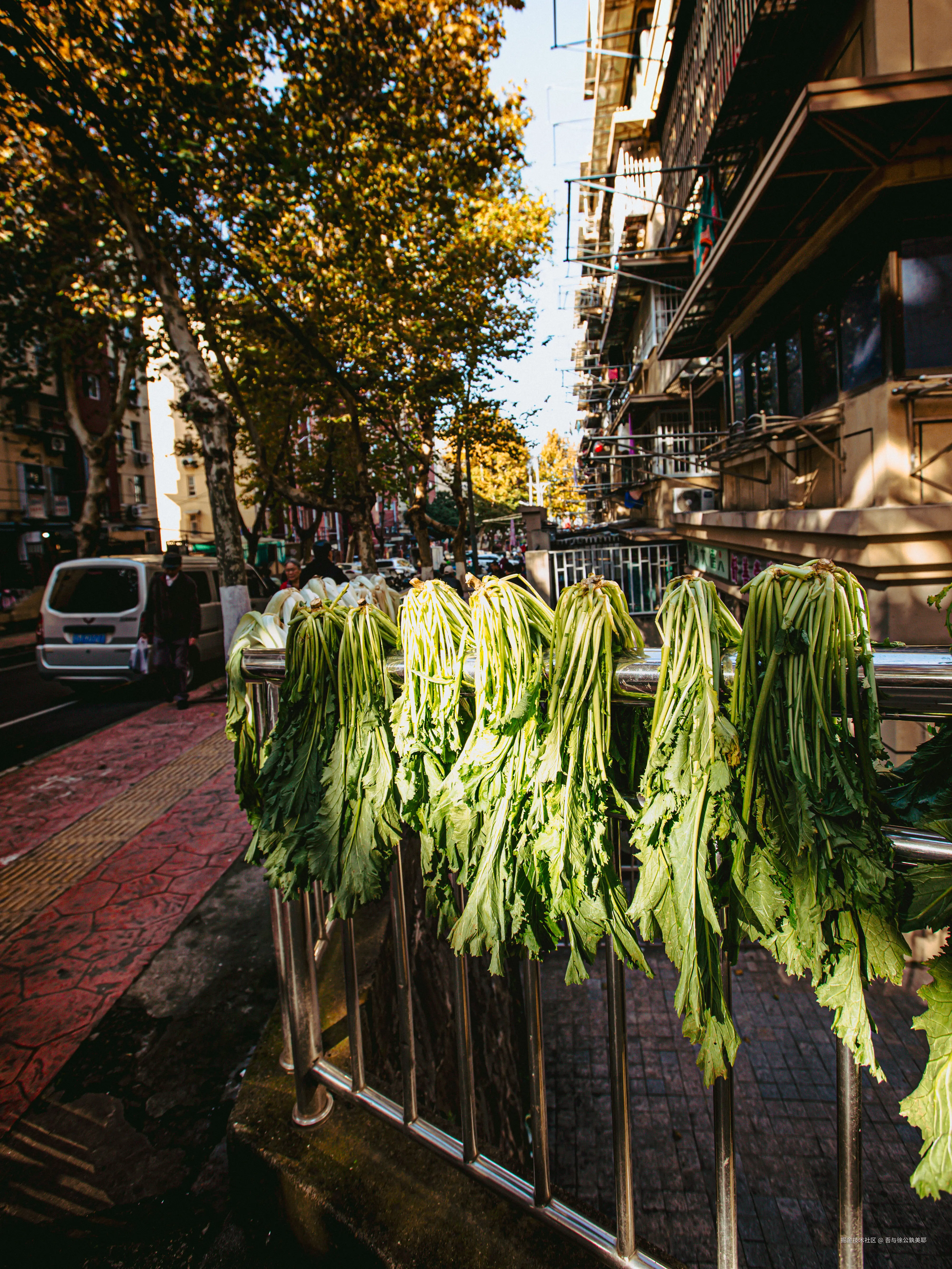 吾与徐公孰美耶于2024-11-29 09:48发布的图片