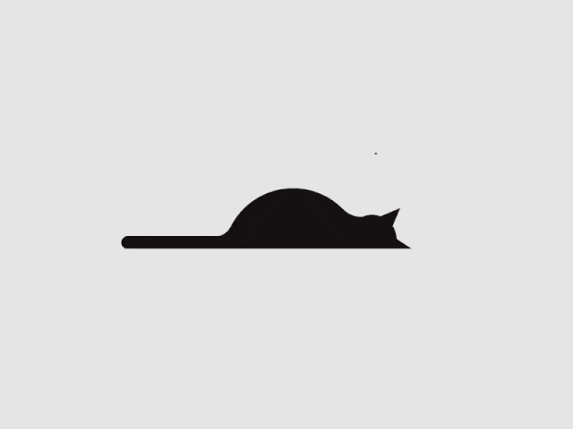 不关橙猫猫的事于2024-08-29 01:19发布的图片