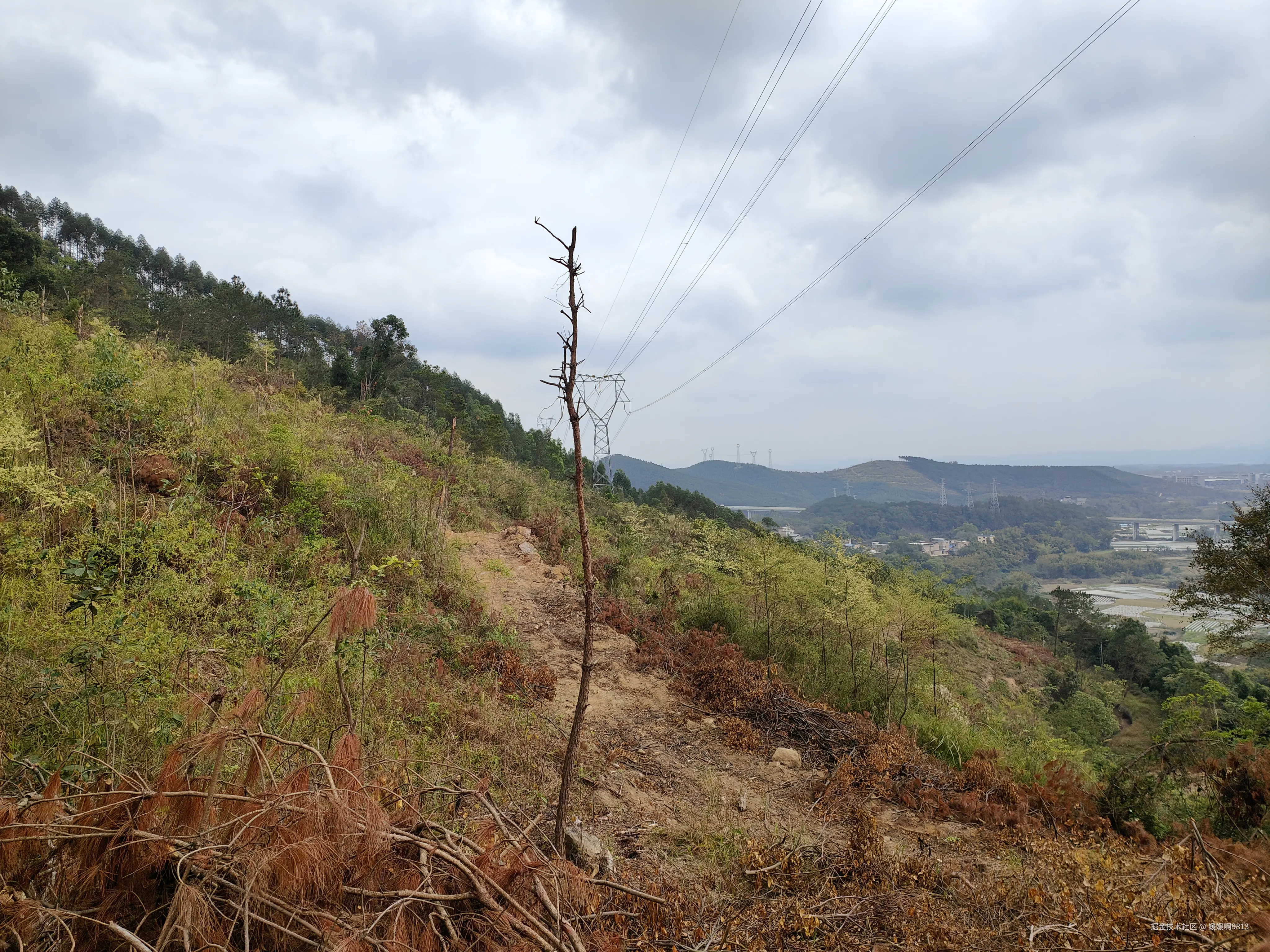 媛媛啊9813于2026-02-22 22:04发布的图片