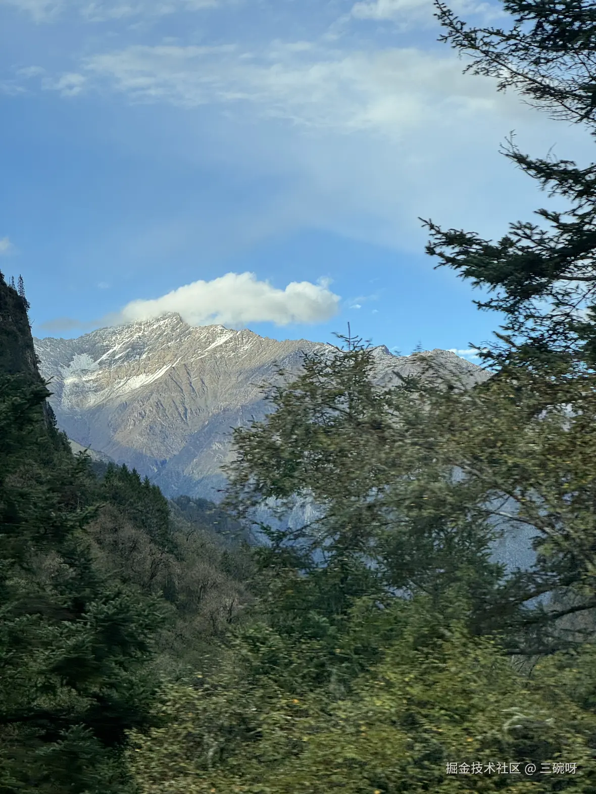 三碗呀于2025-11-24 10:42发布的图片