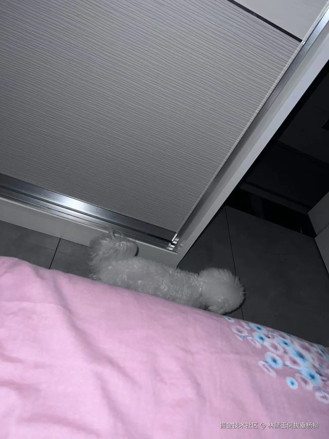 林黛玉倒拔垂杨柳于2024-11-04 11:08发布的图片