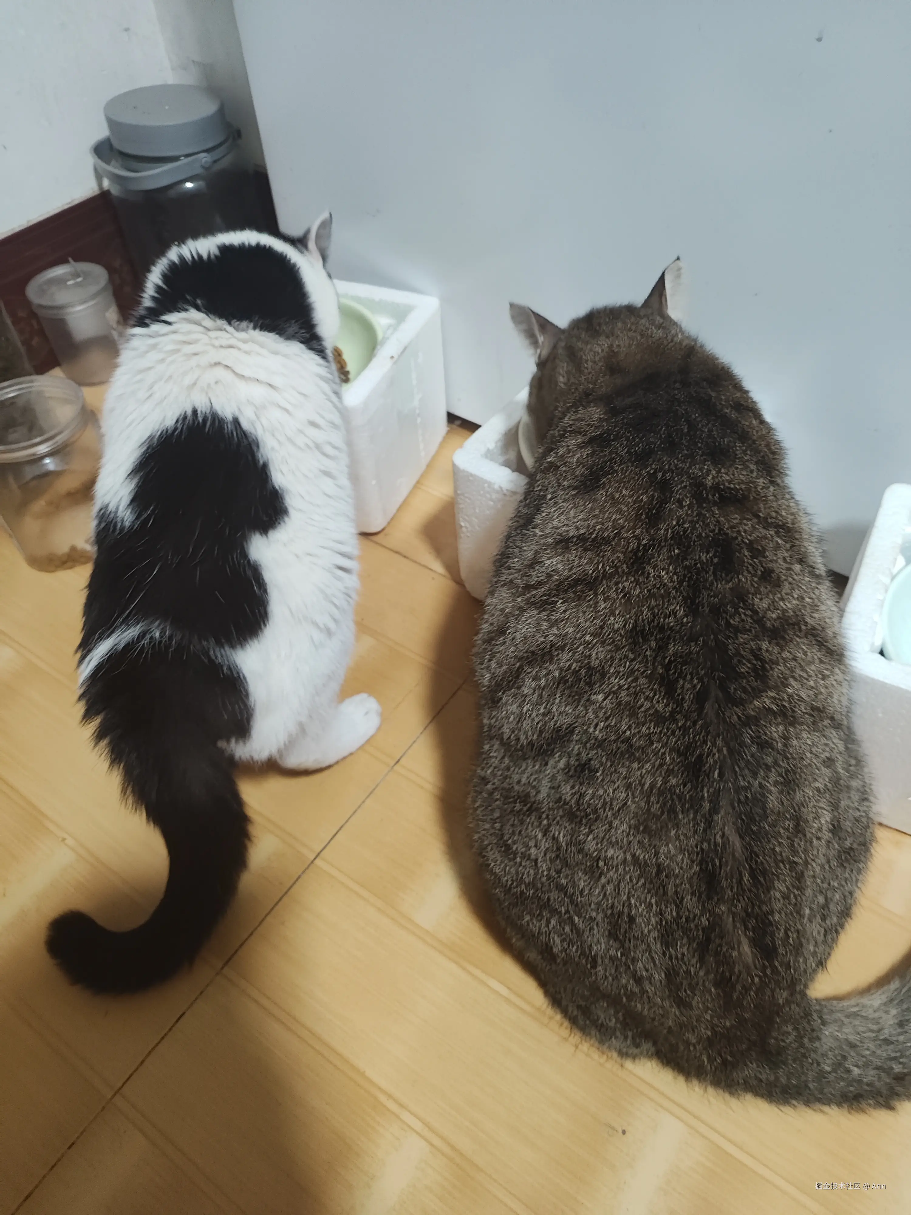 Ann于2024-10-09 02:43发布的图片