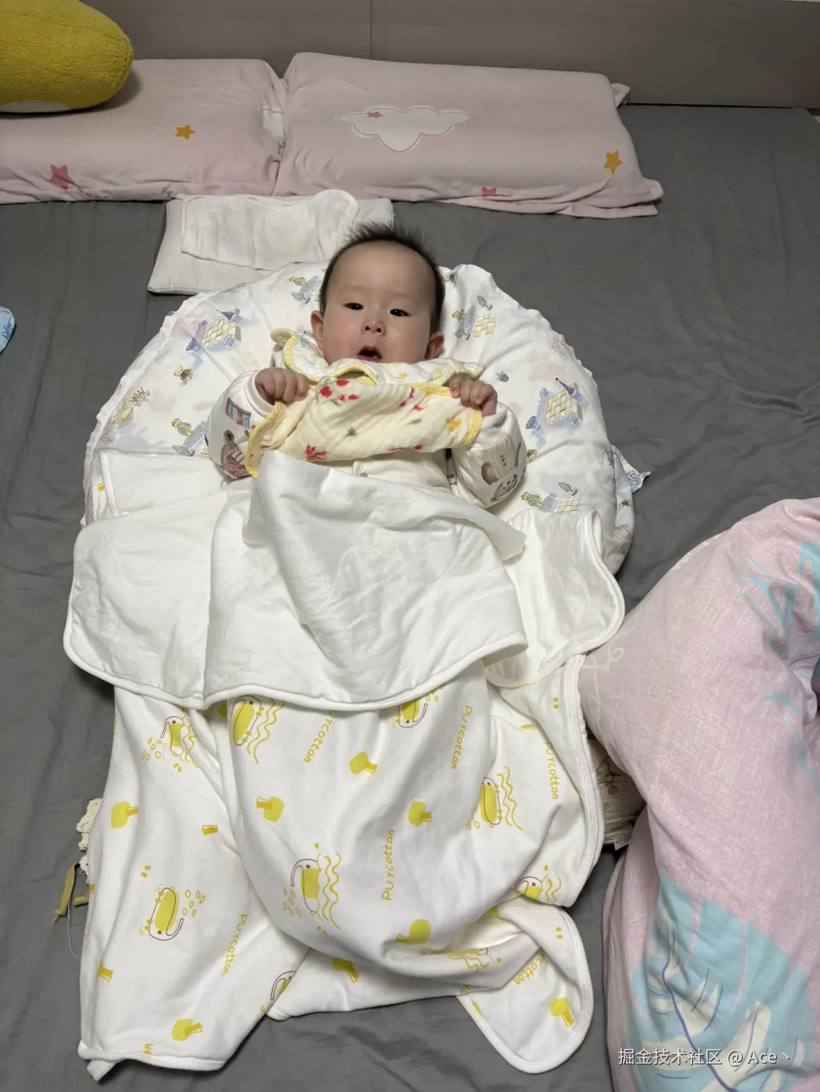 Ace丶于2026-01-28 05:32发布的图片