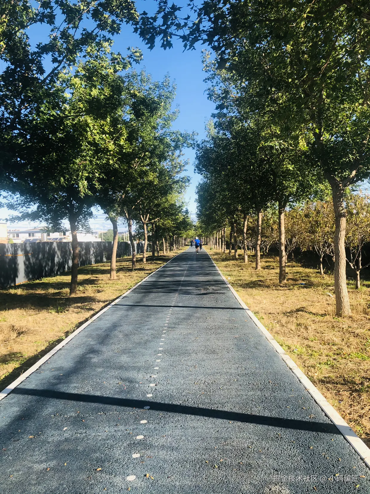 小码编匠于2024-10-26 11:14发布的图片