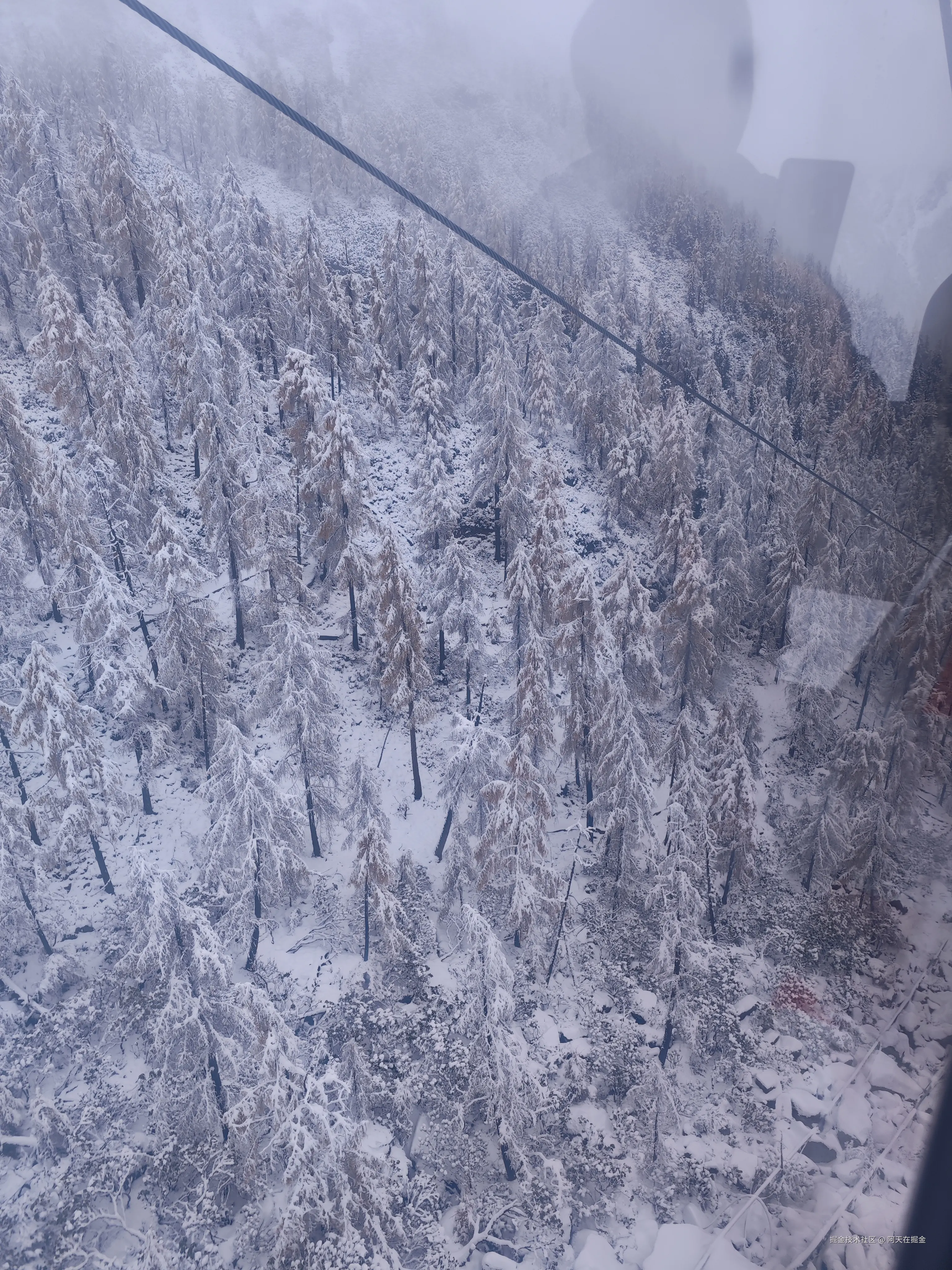 阿天在掘金于2024-11-07 10:39发布的图片