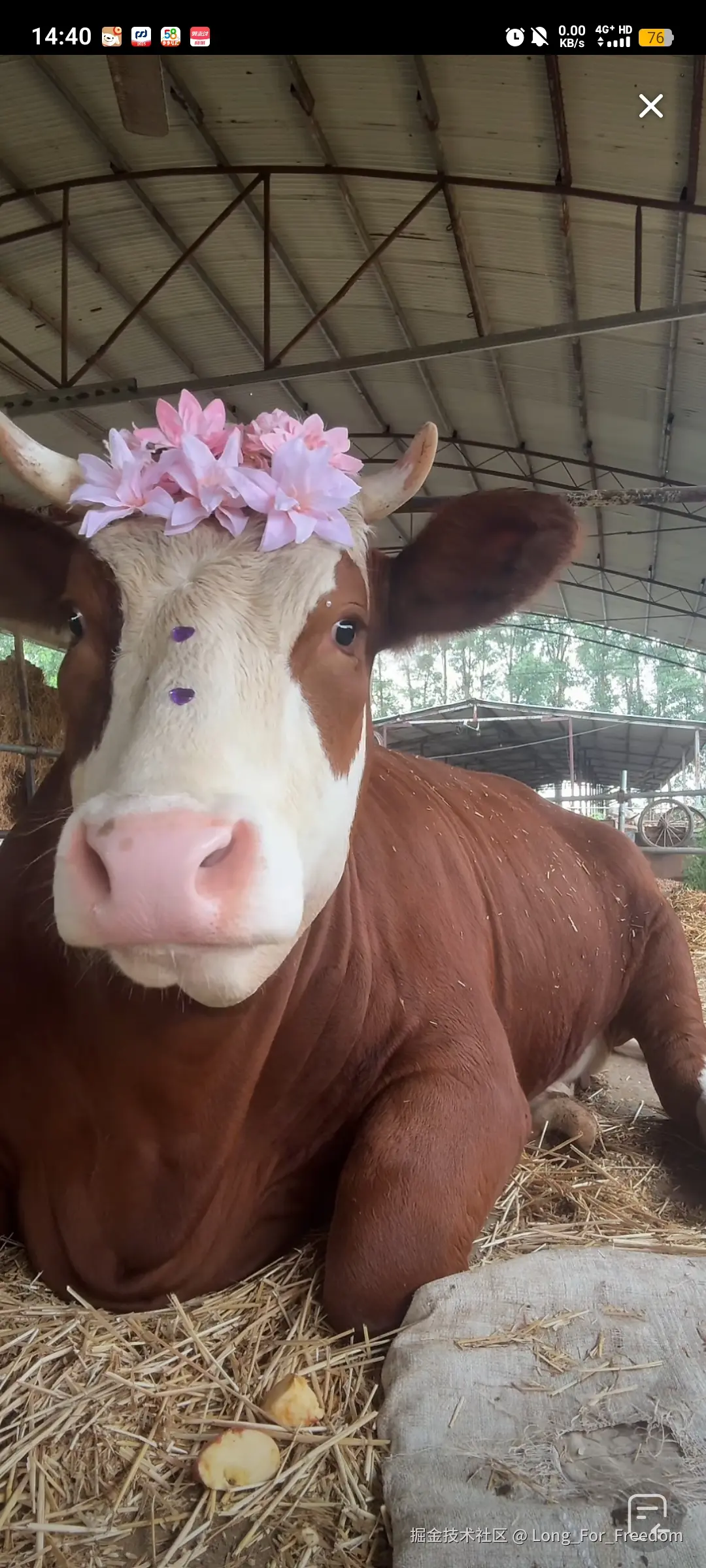 Long_For_Freedom于2025-06-27 17:27发布的图片