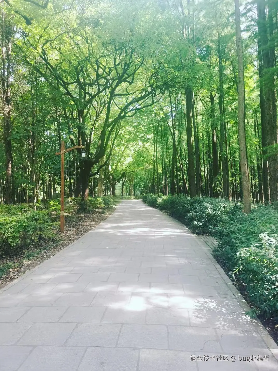 bug收集者于2024-07-20 17:29发布的图片