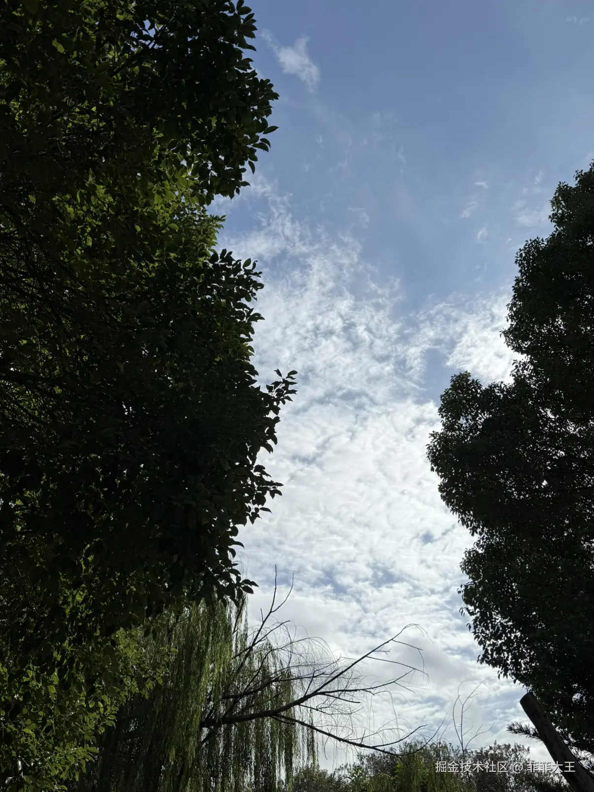 菲菲大王于2025-10-21 11:38发布的图片