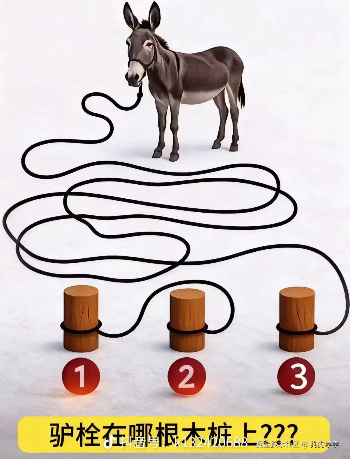 狗狗祟祟于2025-11-14 16:06发布的图片