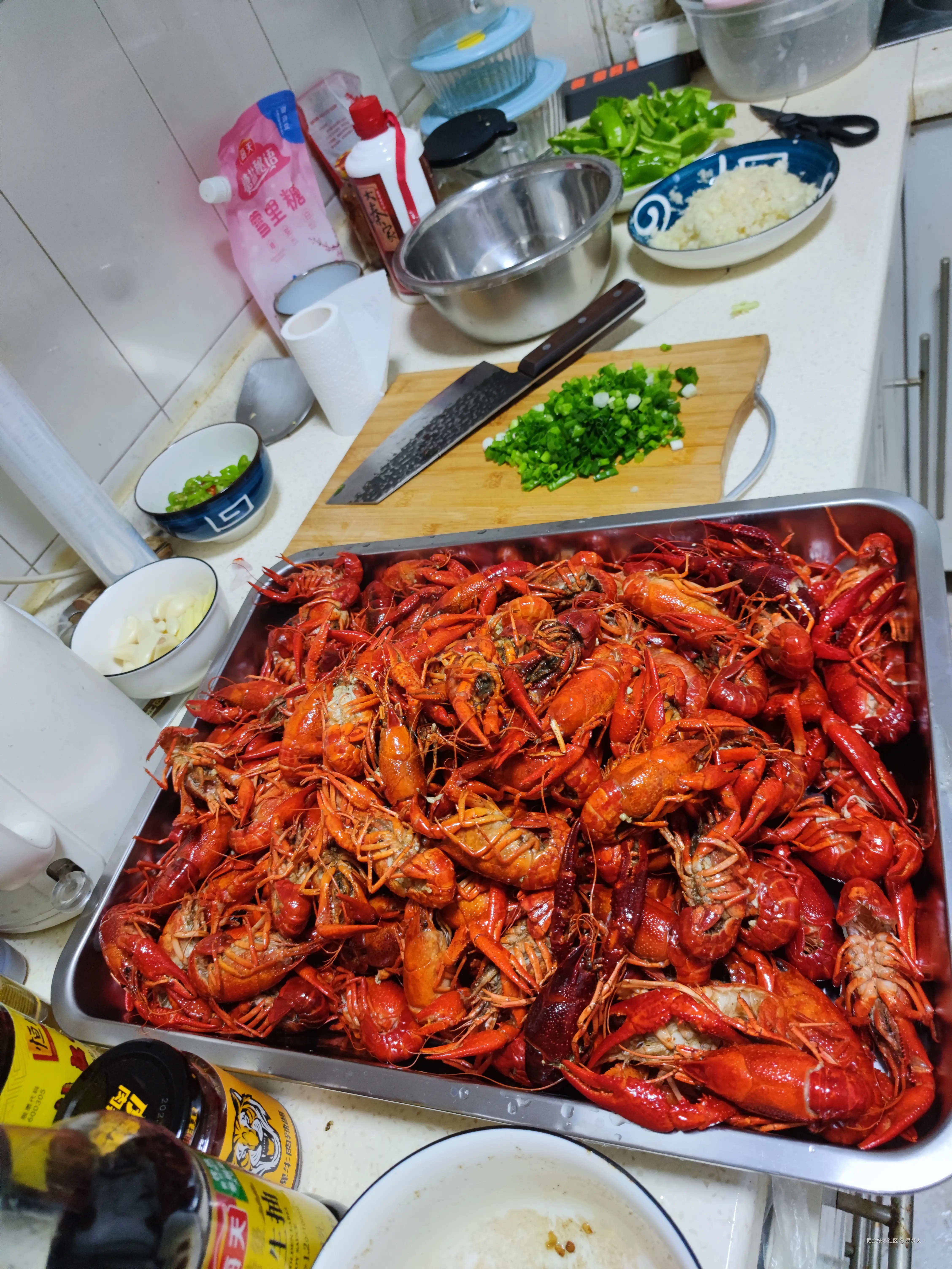 寻梦人丶于2025-04-10 14:35发布的图片