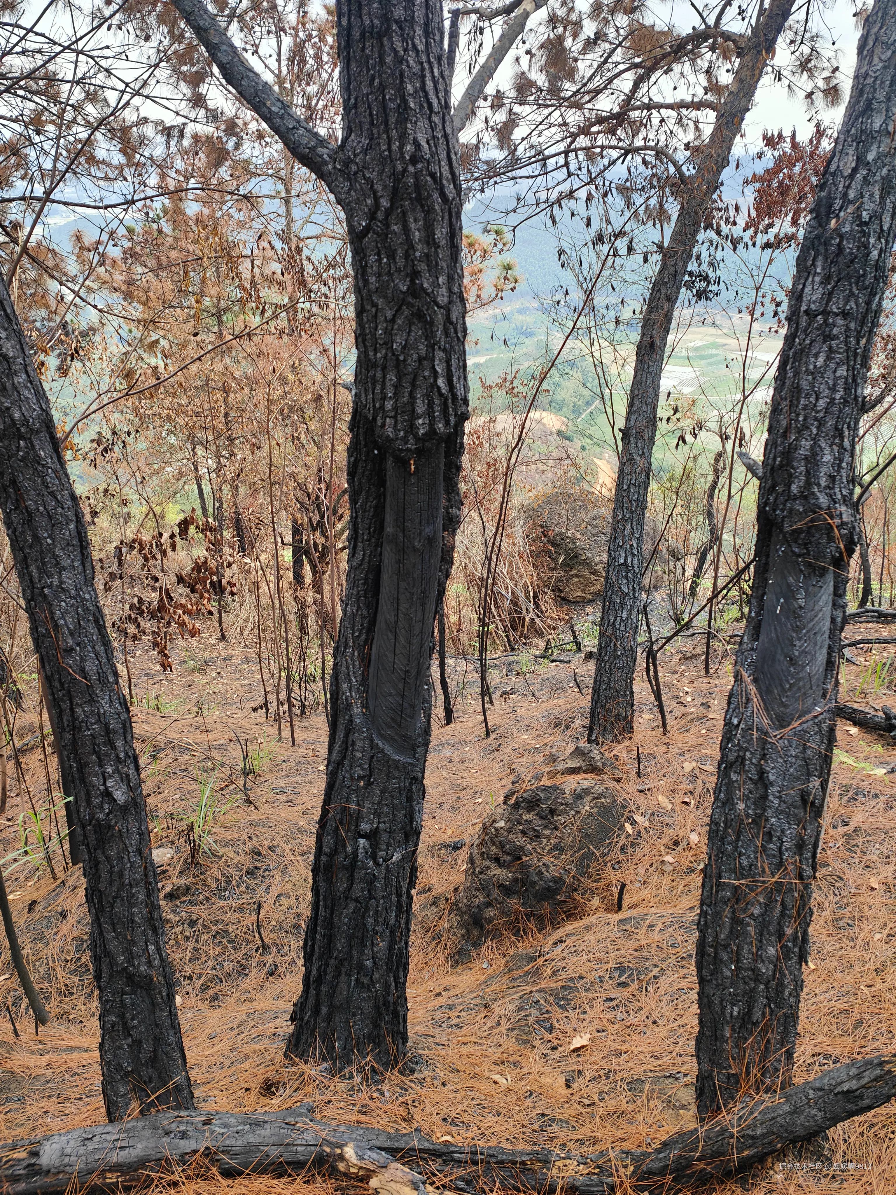 媛媛啊9813于2026-02-22 22:04发布的图片