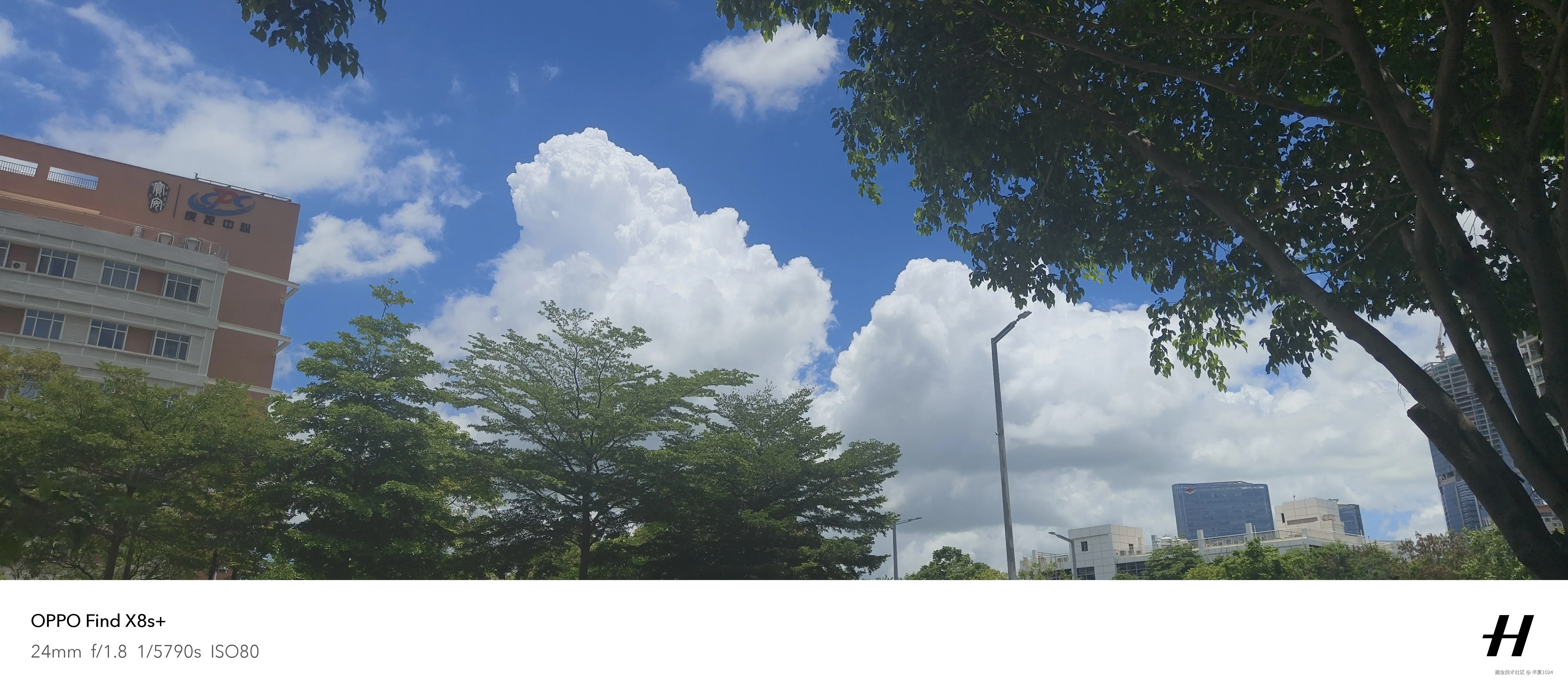 半夏1024于2025-07-02 15:38发布的图片