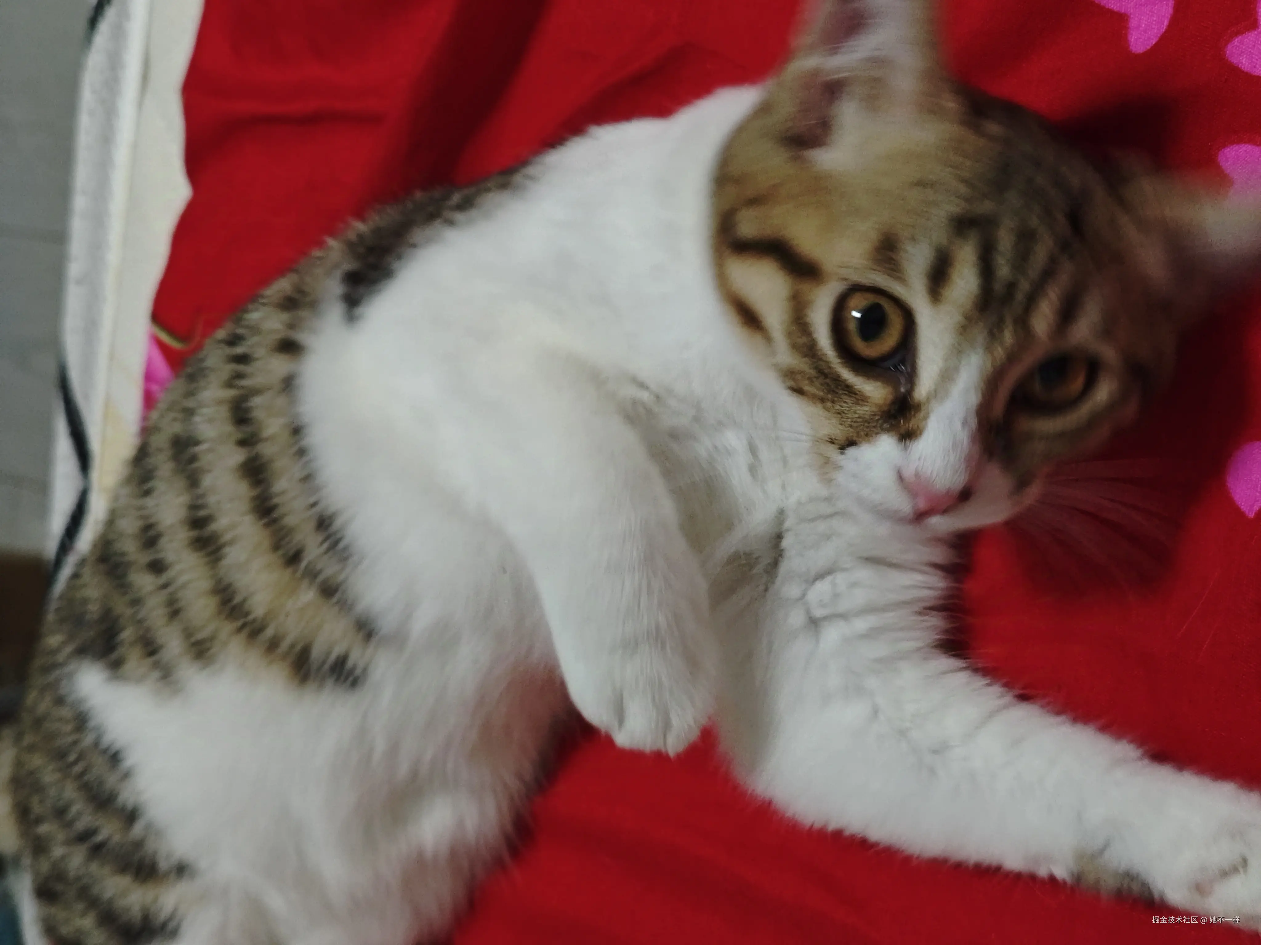 她不一样于2025-07-31 15:27发布的图片