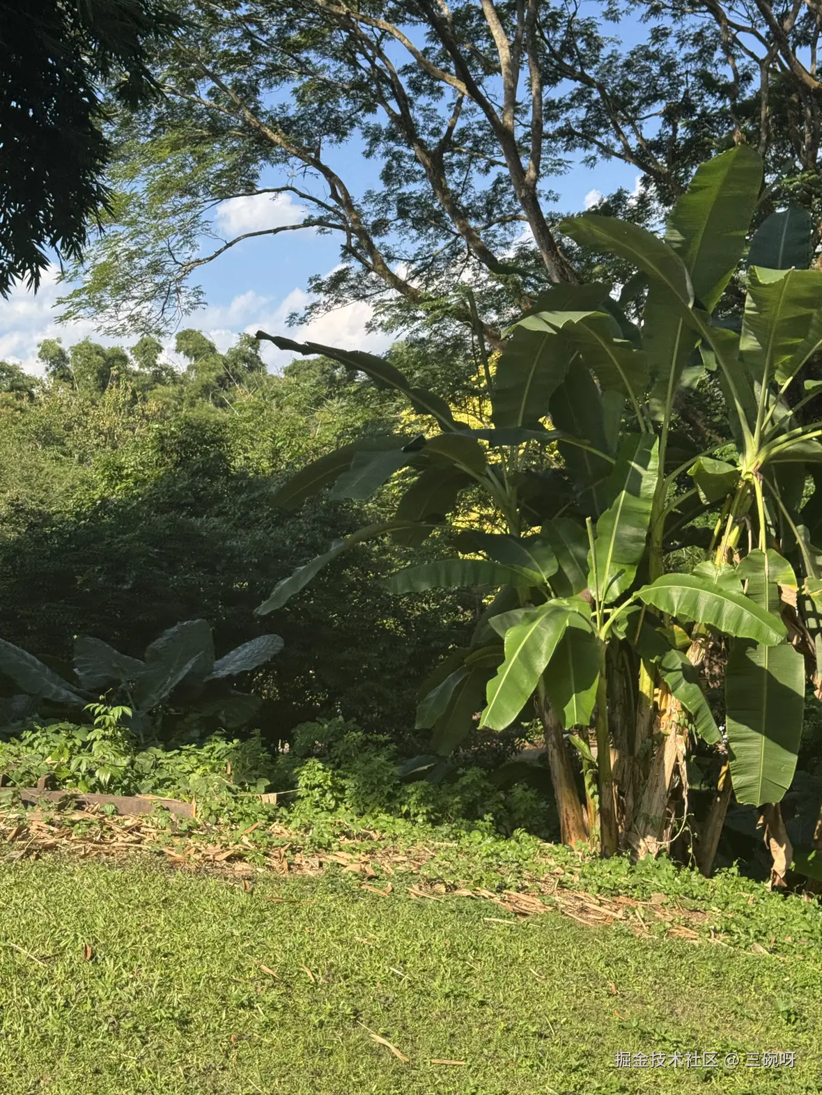 三碗呀于2024-12-16 10:36发布的图片