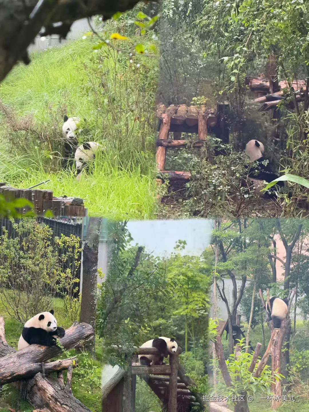 _一杯冰美式_于2025-09-11 18:06发布的图片