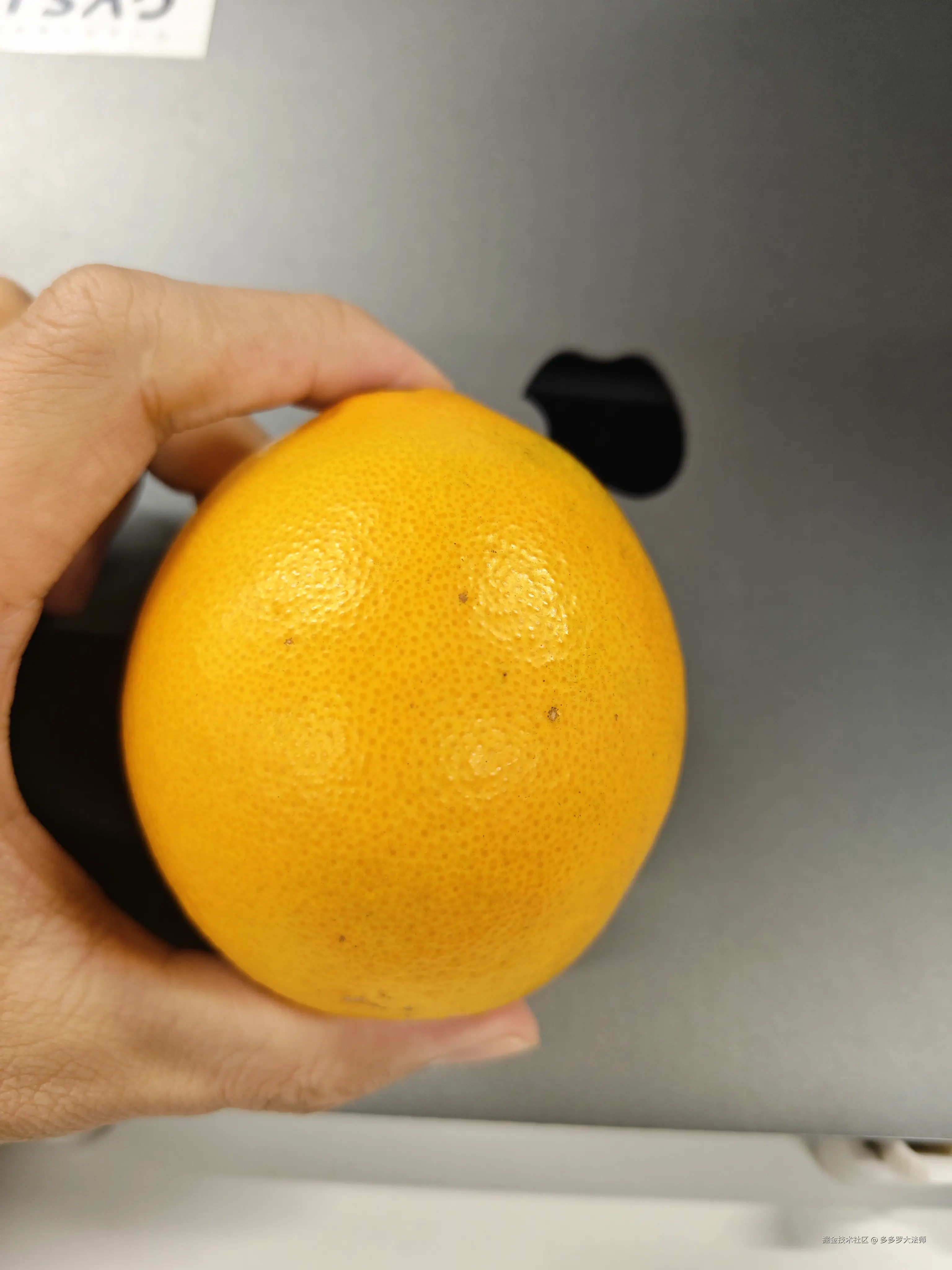 多多罗大法师于2024-11-20 12:15发布的图片