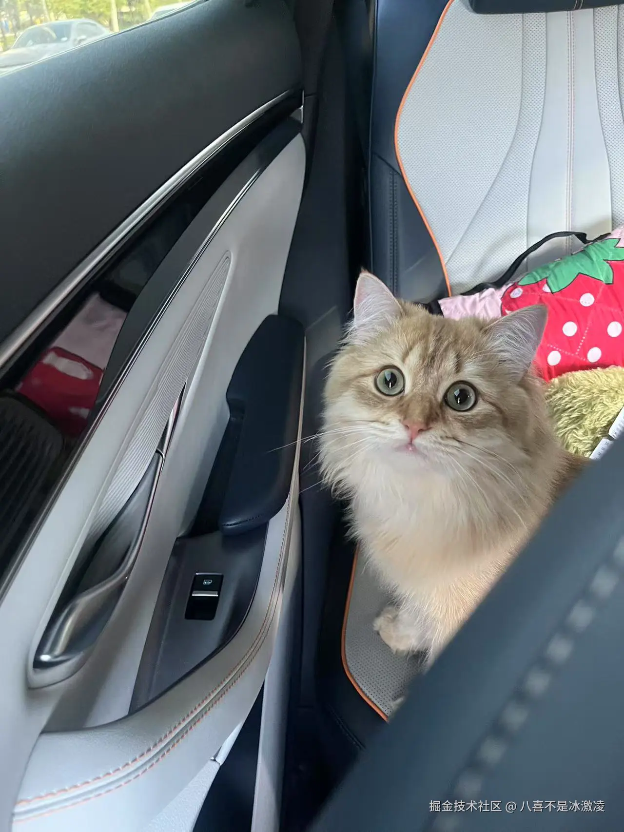 八喜不是冰激凌于2025-03-25 13:38发布的图片