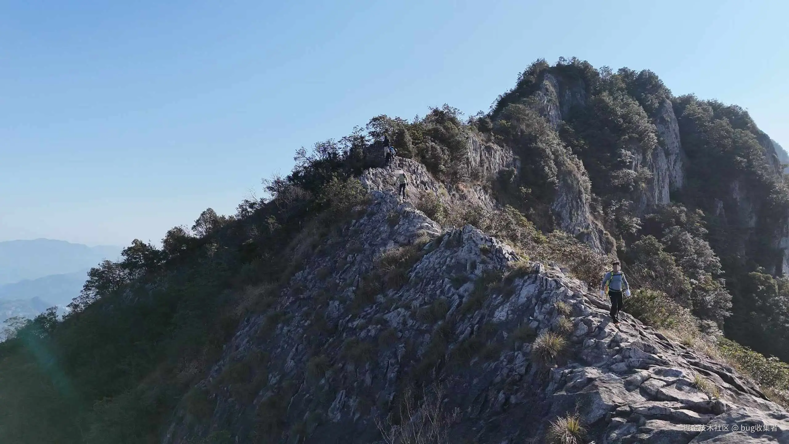 bug收集者于2026-03-16 11:07发布的图片