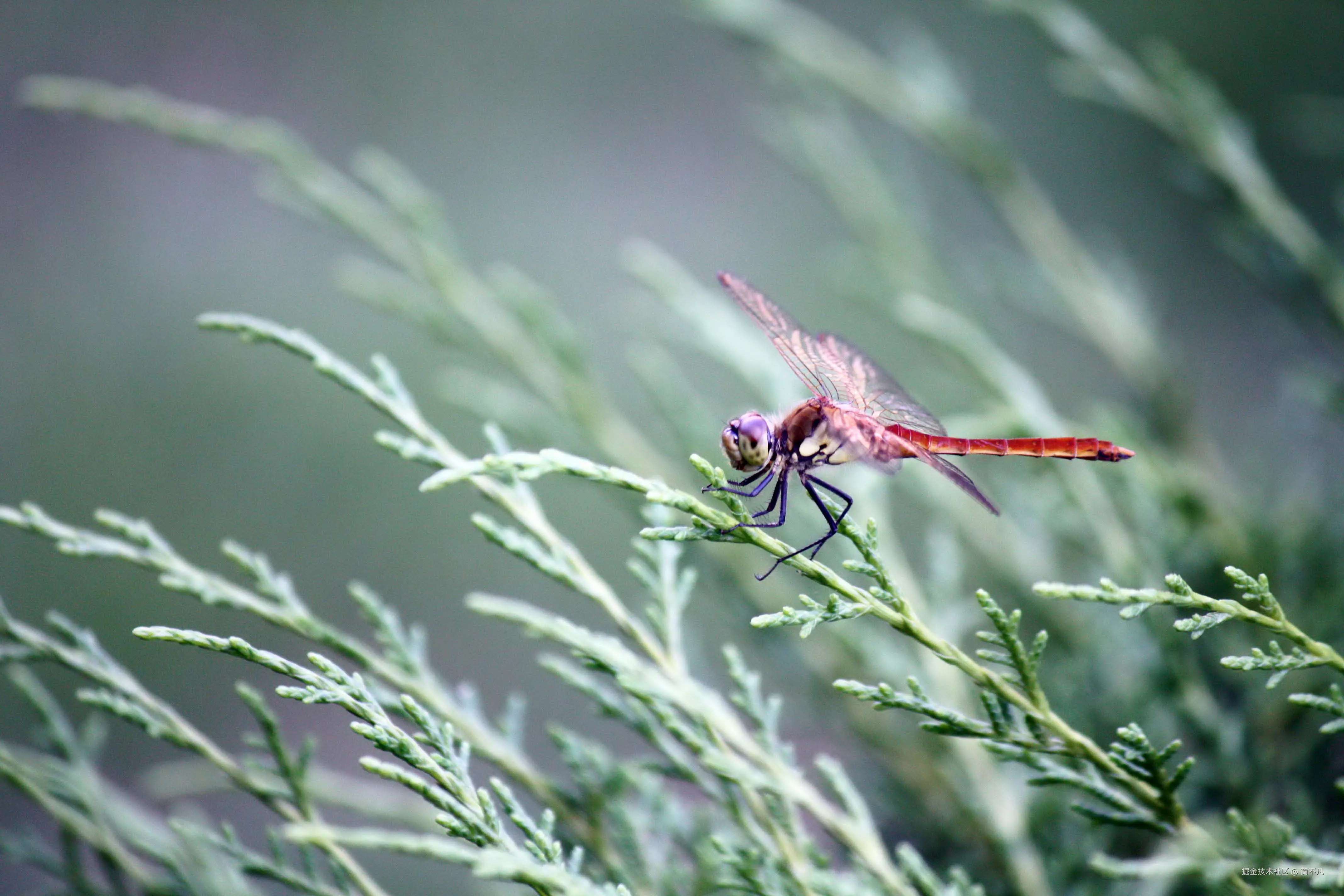 简不凡于2025-06-23 14:39发布的图片
