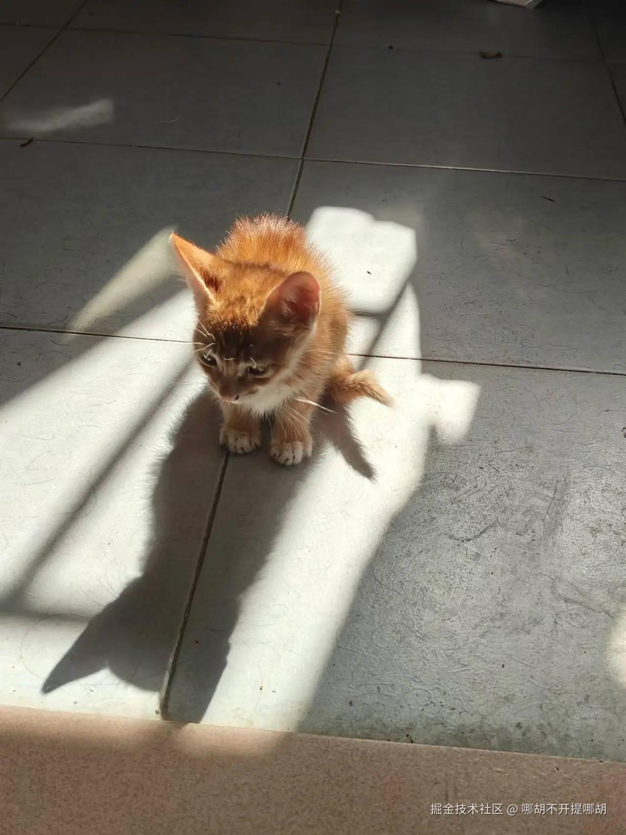 哪胡不开提哪胡于2024-12-03 13:39发布的图片