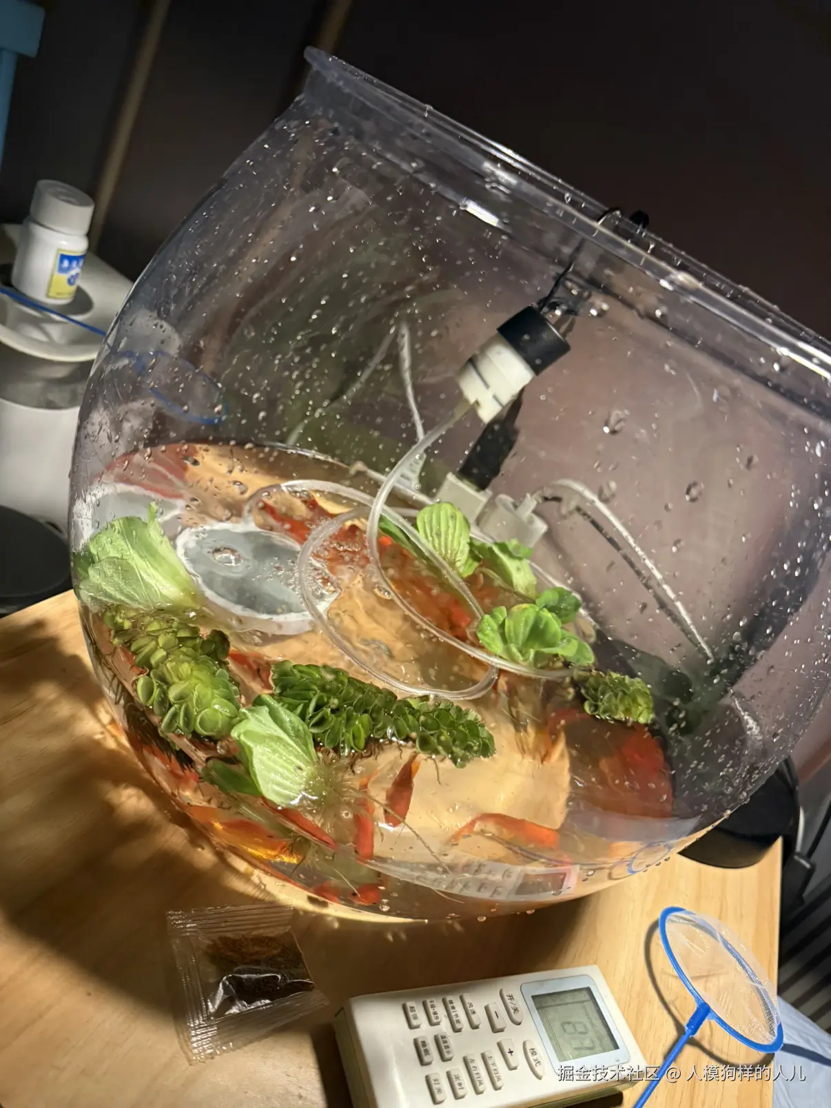 人模狗样的人儿于2025-11-02 13:06发布的图片