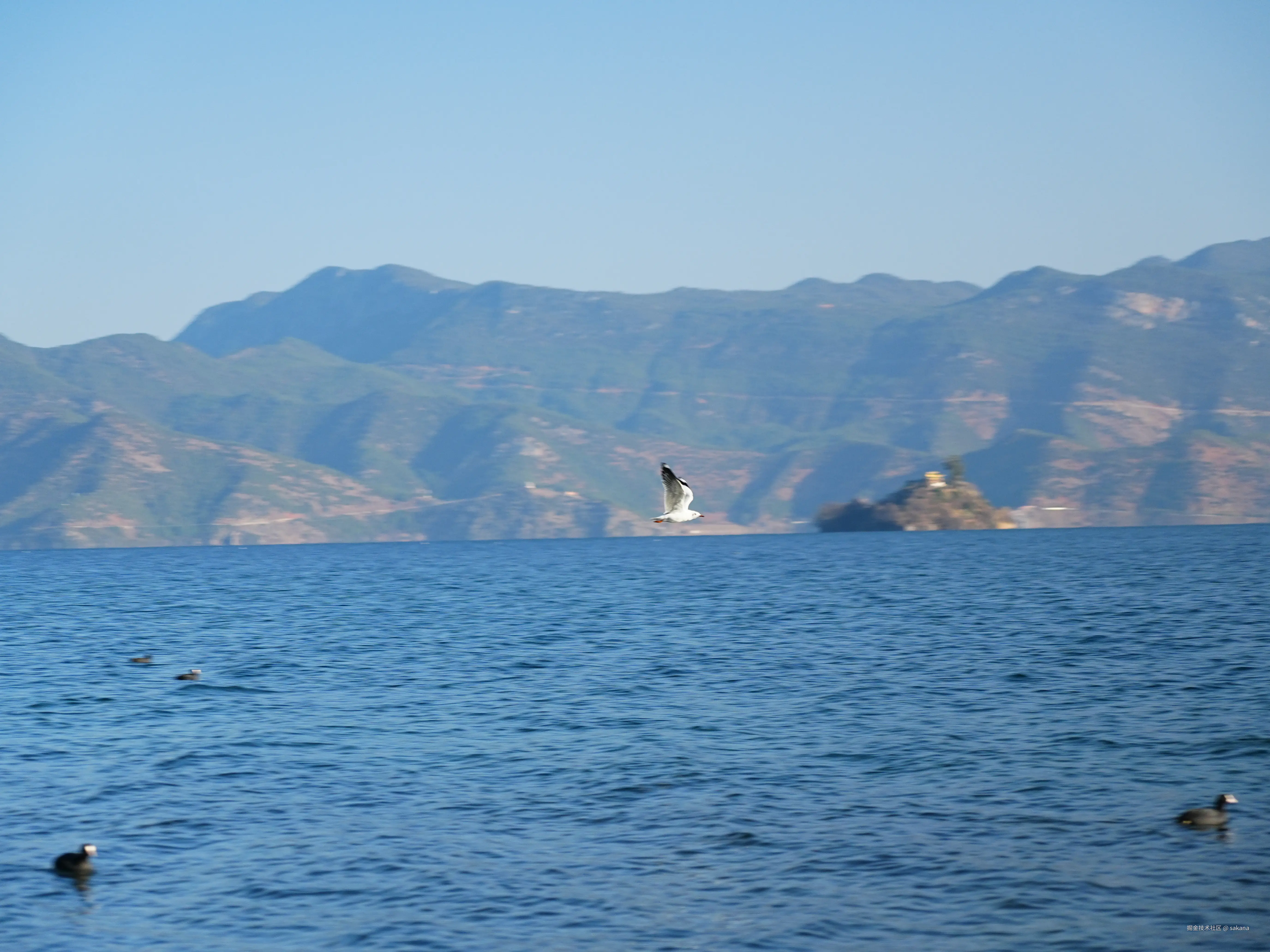 sakana于2025-02-05 09:40发布的图片