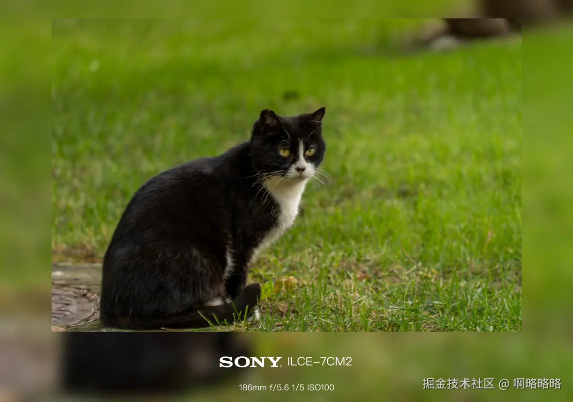 啊略略略于2024-10-28 10:27发布的图片