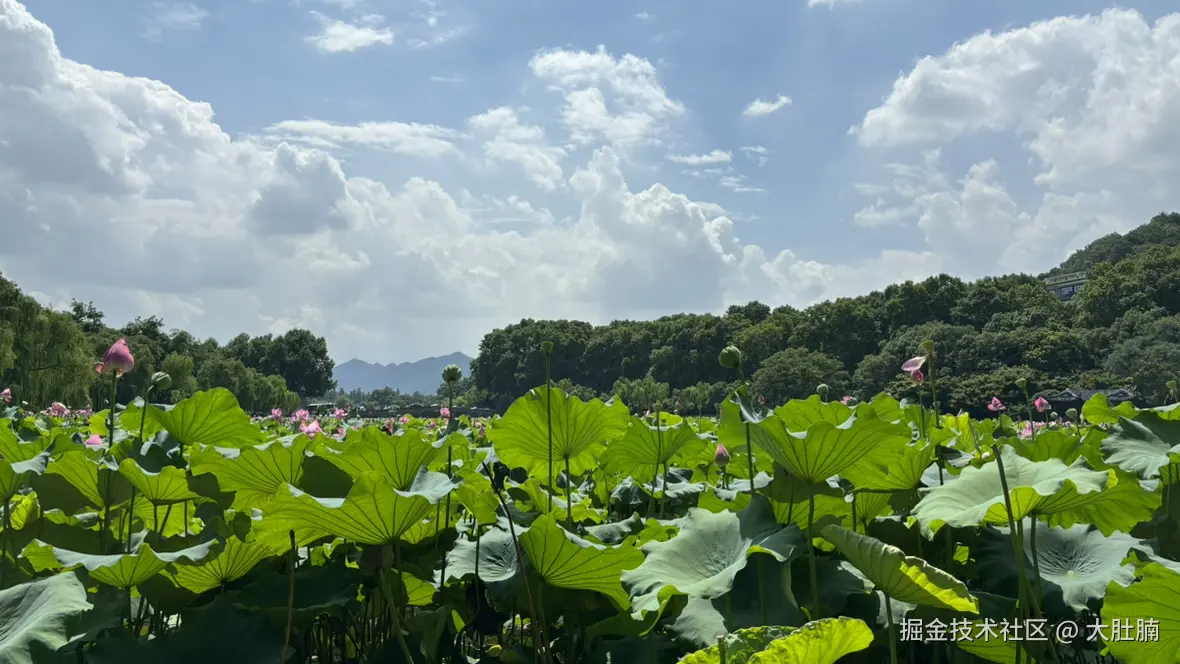 大肚腩于2025-07-14 11:50发布的图片