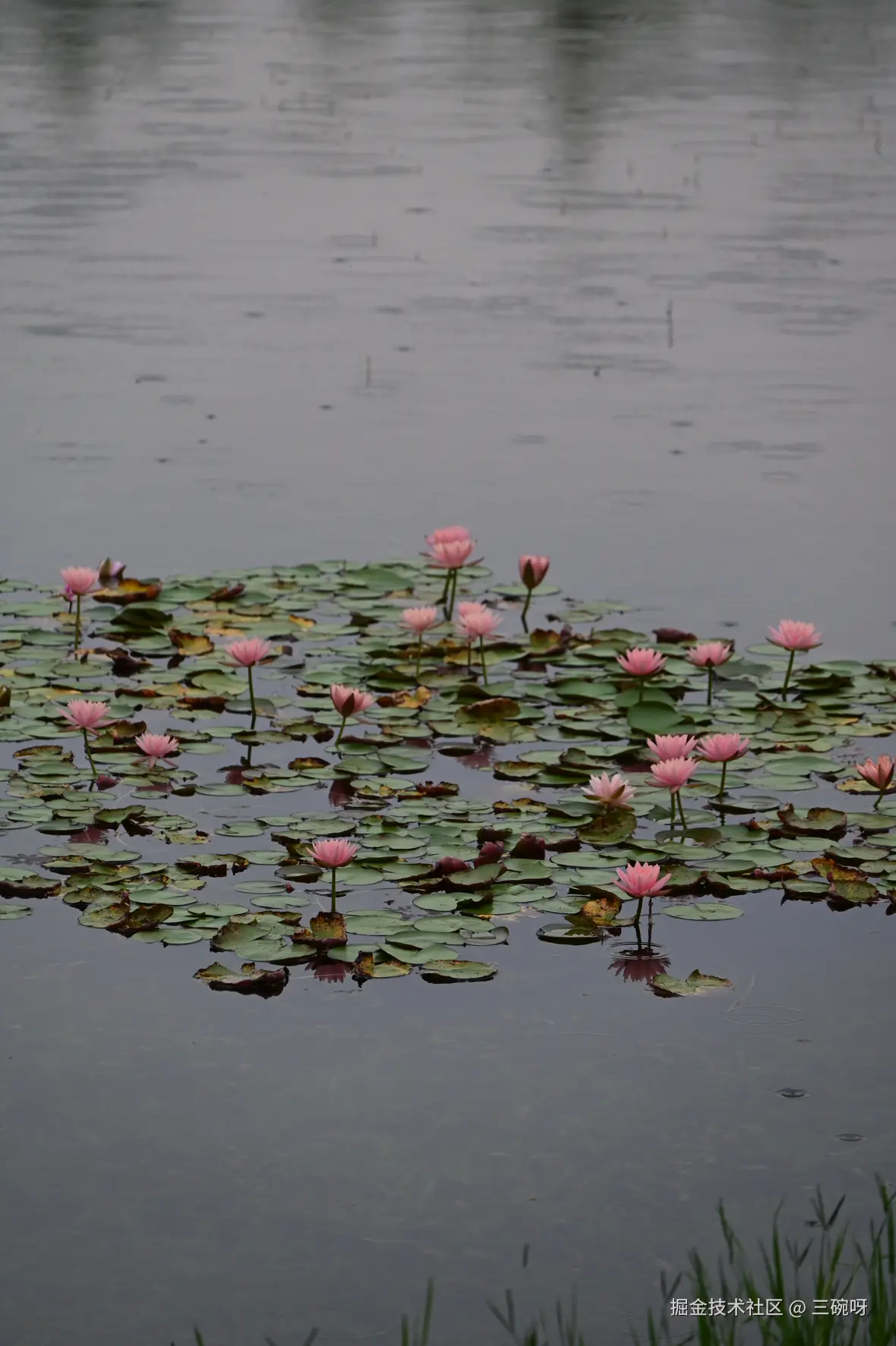 三碗呀于2025-06-16 09:28发布的图片