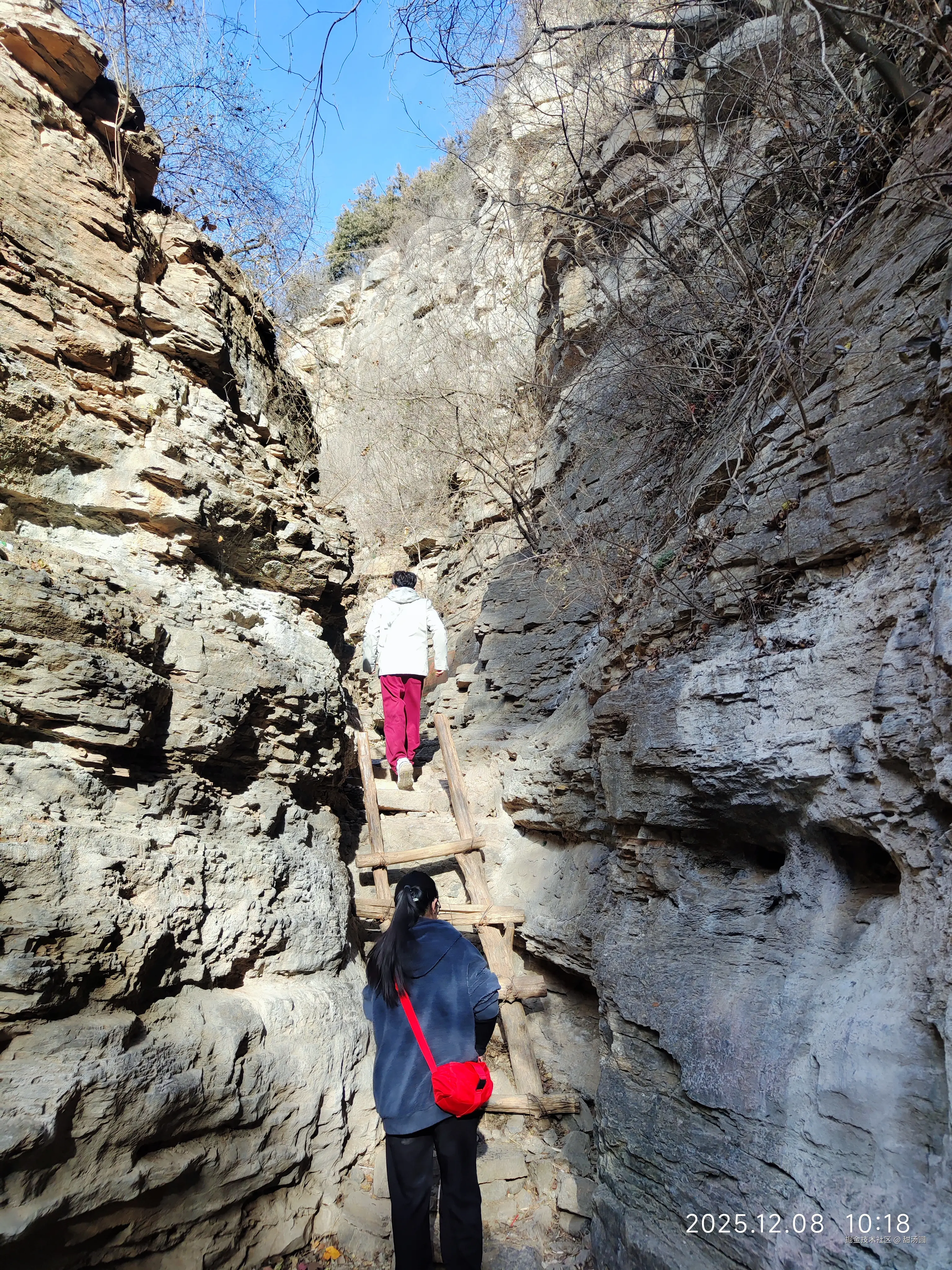 甜汤圆于2025-12-08 12:09发布的图片