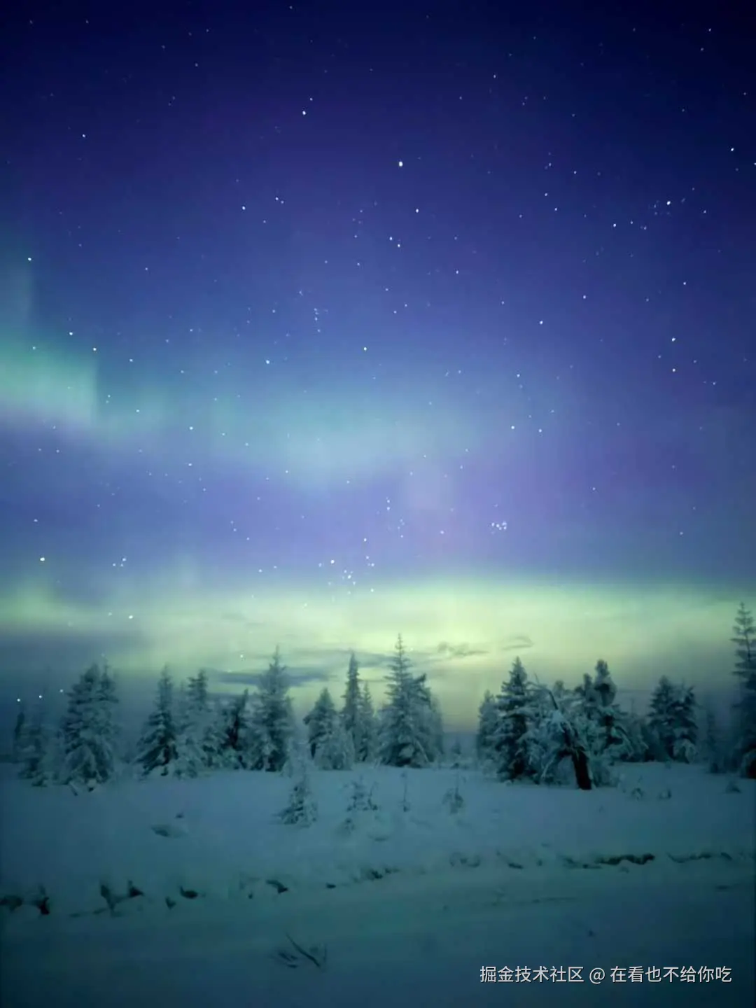 在看也不给你吃于2026-01-22 13:41发布的图片