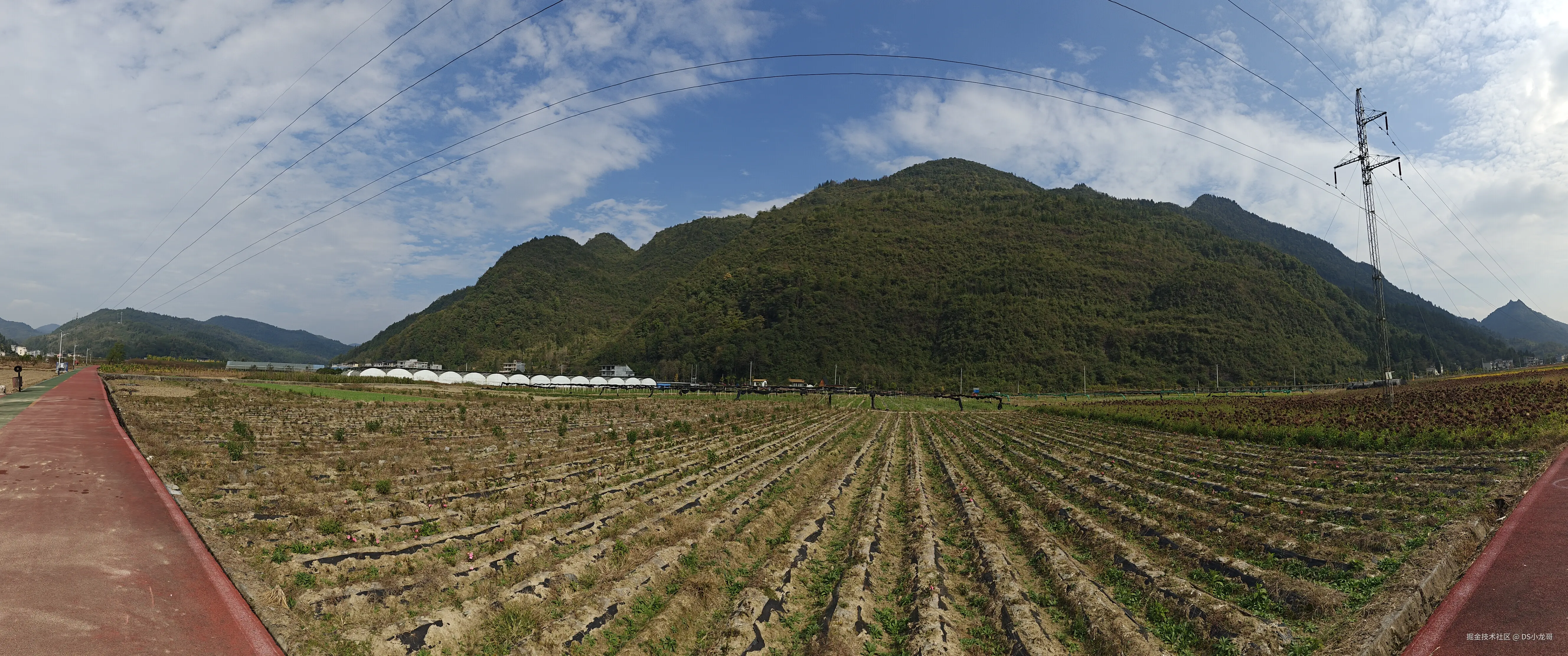 DS小龙哥于2024-11-03 21:39发布的图片