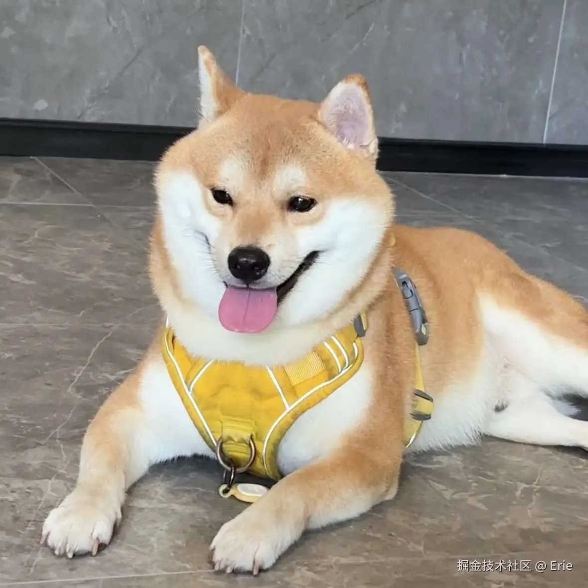 Erie于2024-09-09 09:45发布的图片