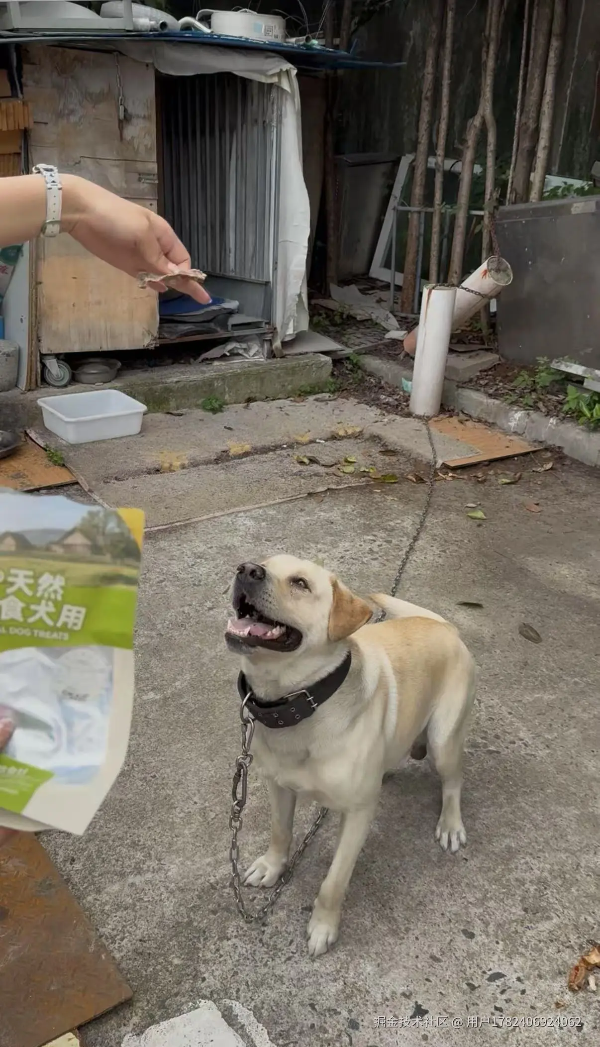 用户1782406924062于2025-06-19 13:20发布的图片