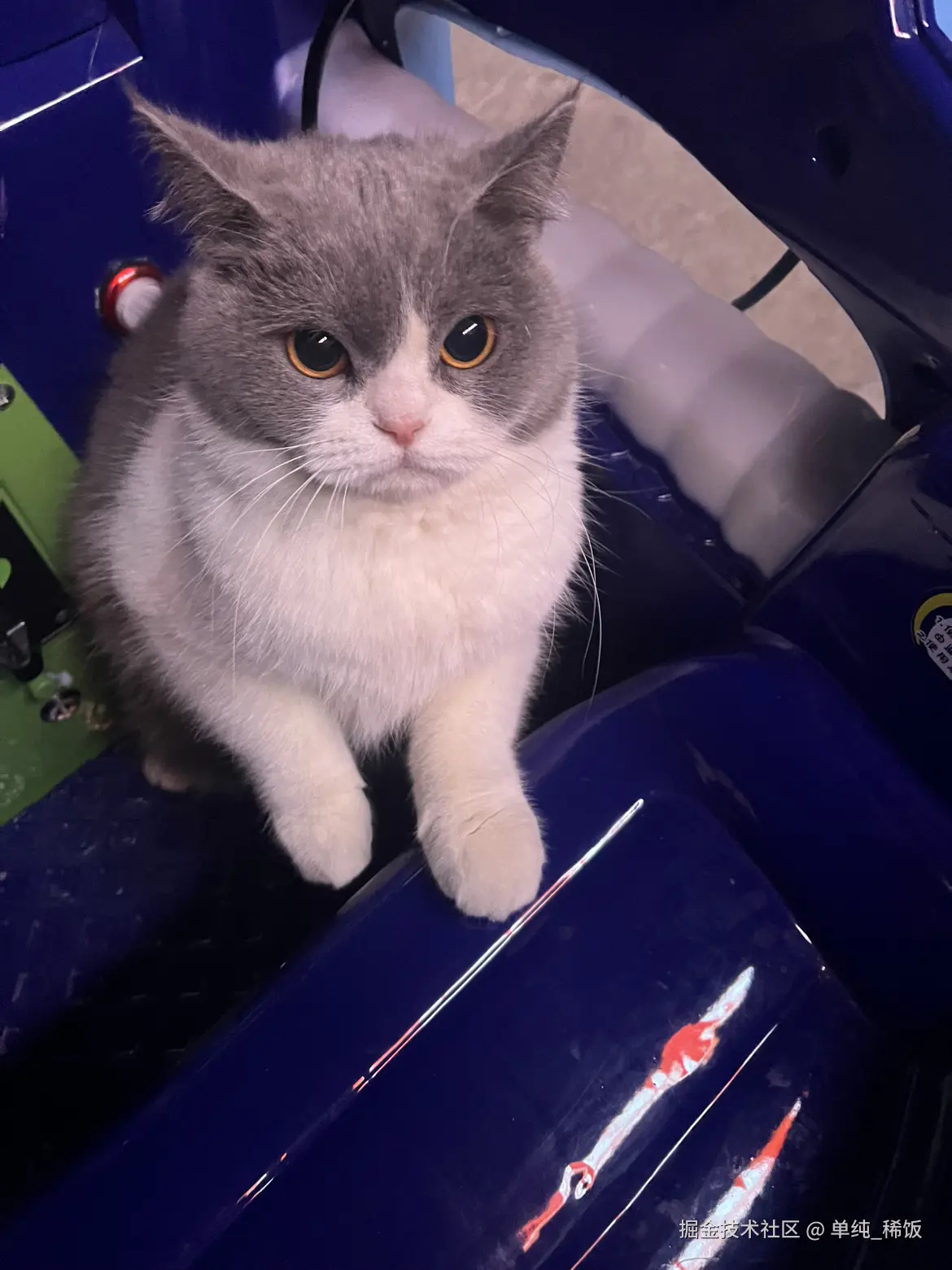 单纯_稀饭于2025-01-21 08:04发布的图片