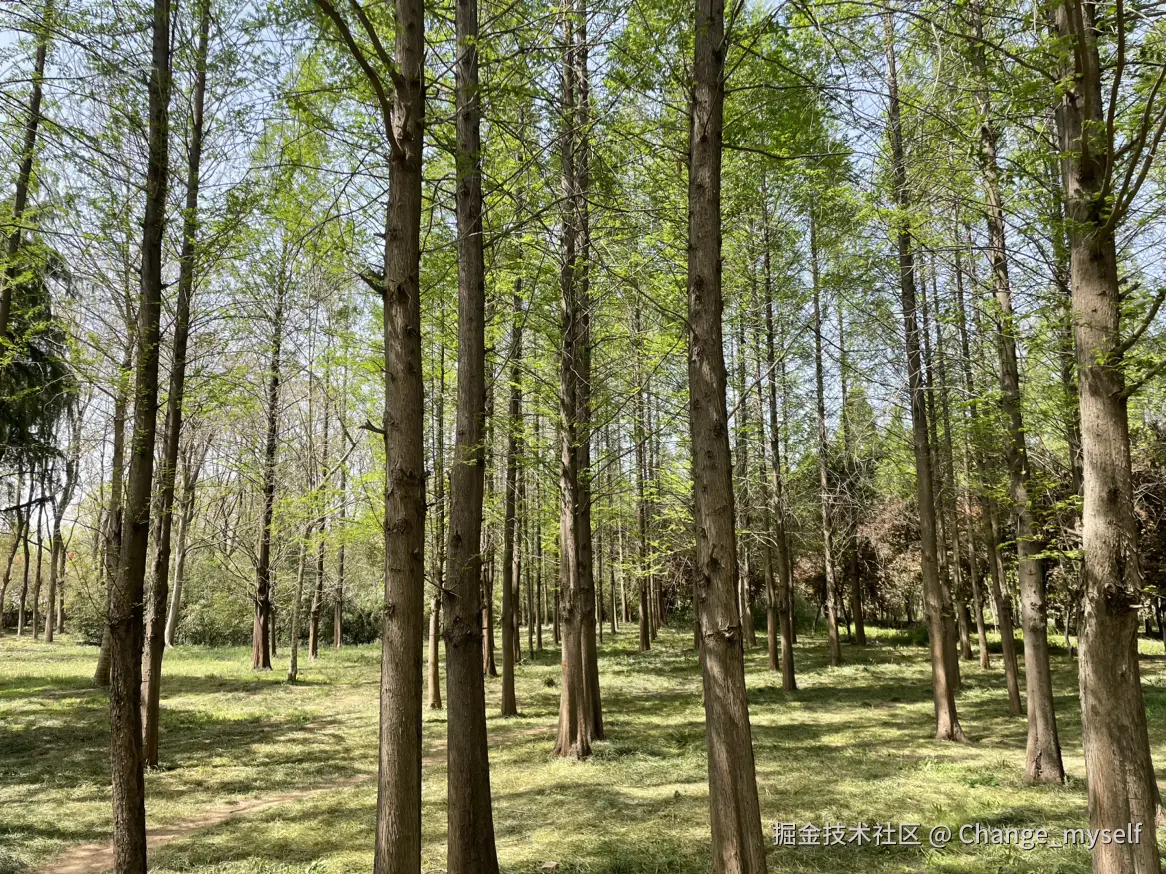 Change_myself于2025-04-07 14:42发布的图片