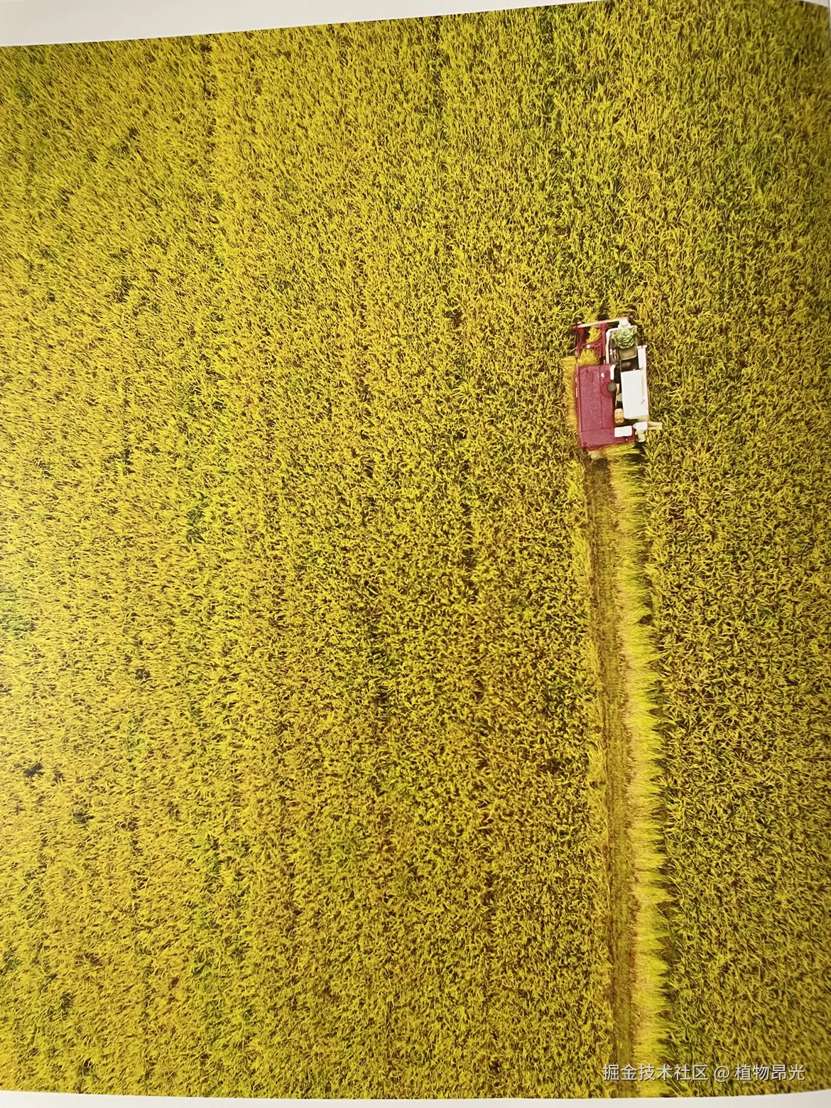 植物昂光于2026-04-15 21:56发布的图片