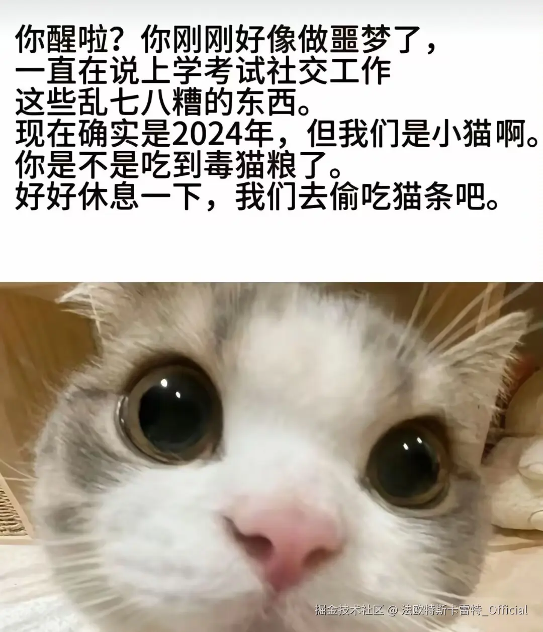 法欧特斯卡雷特_Official于2025-01-10 17:50发布的图片