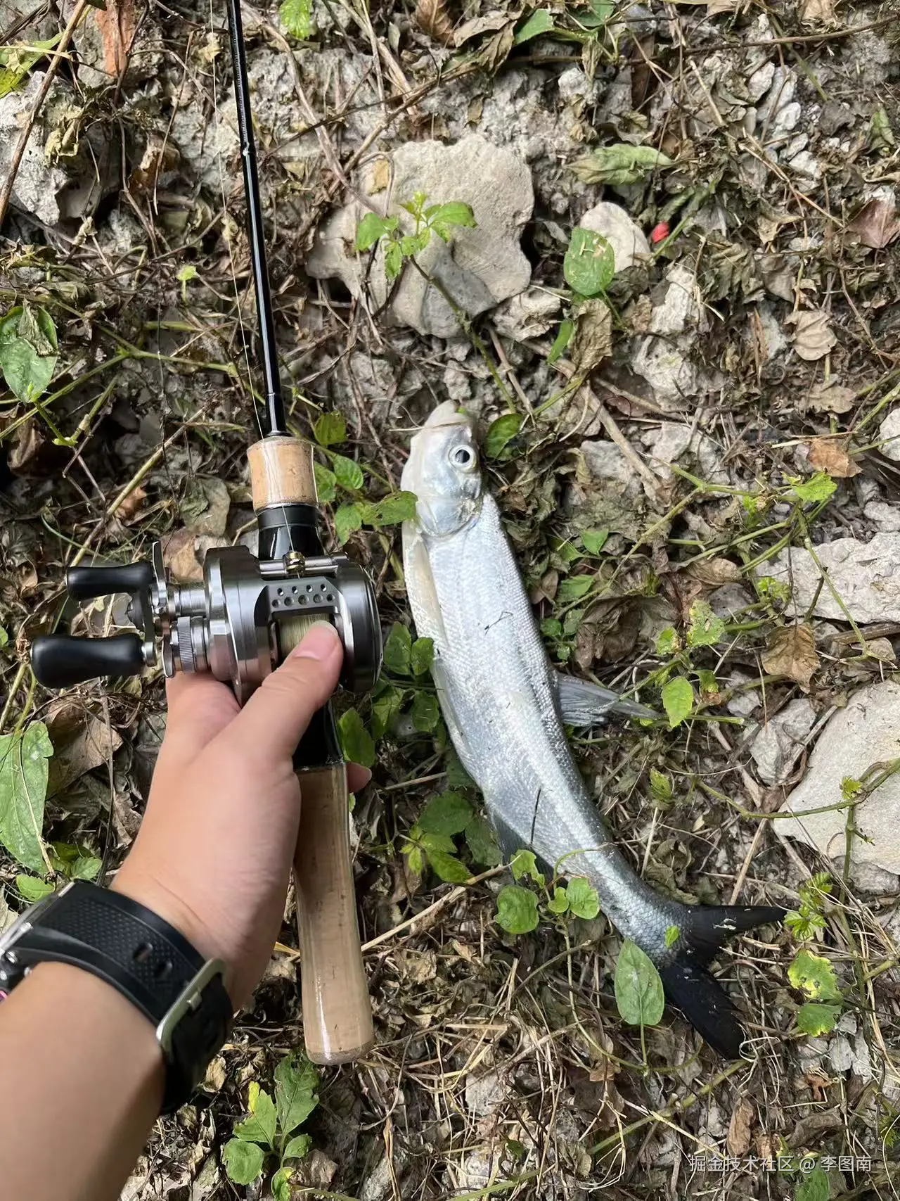 李图南于2025-10-15 15:20发布的图片