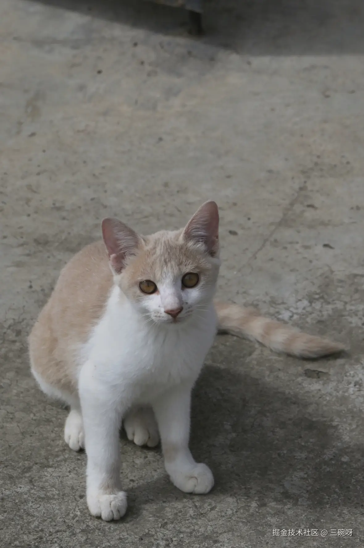 三碗呀于2025-09-10 09:34发布的图片