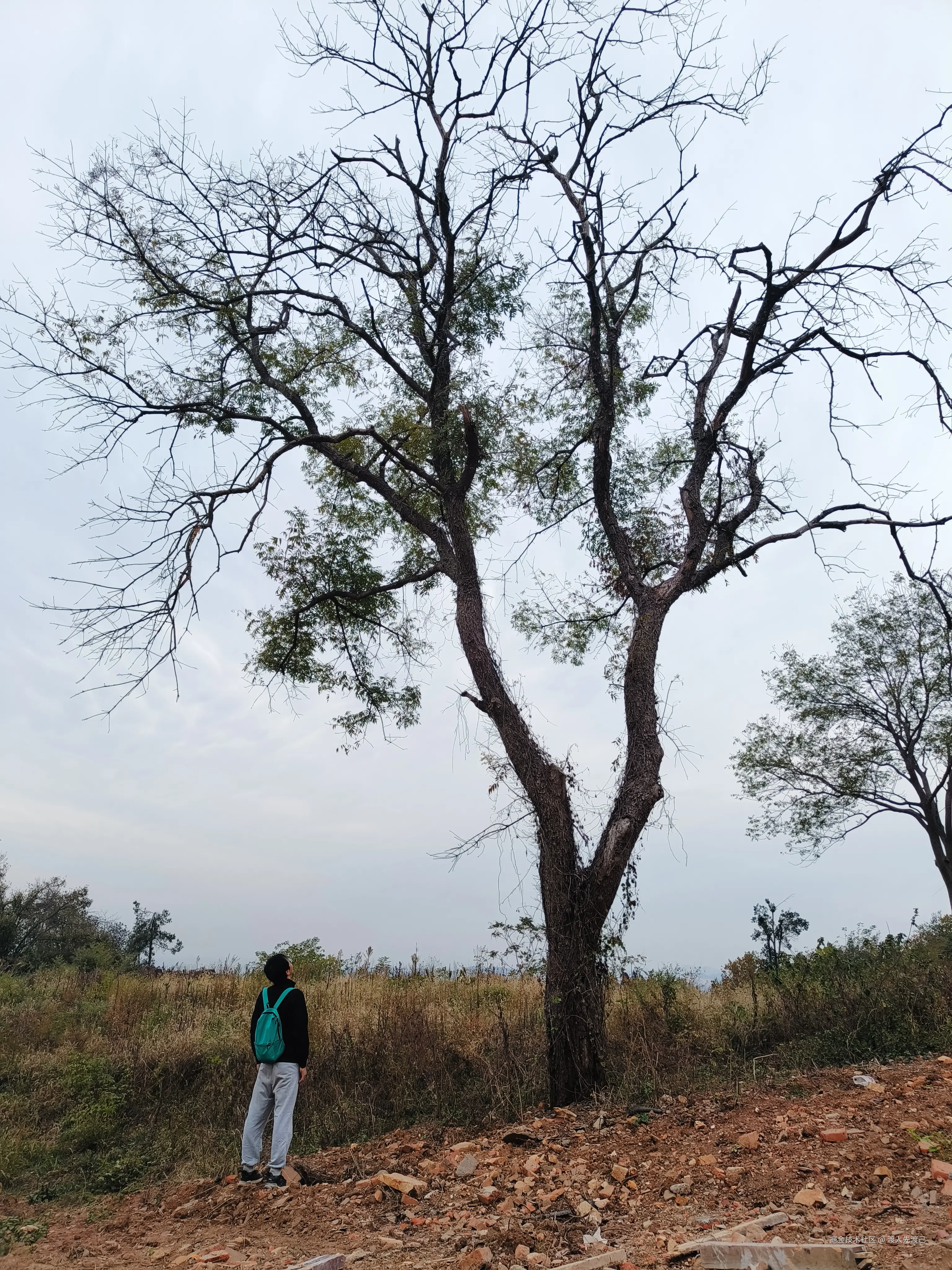 渡人先渡己于2024-11-11 11:10发布的图片