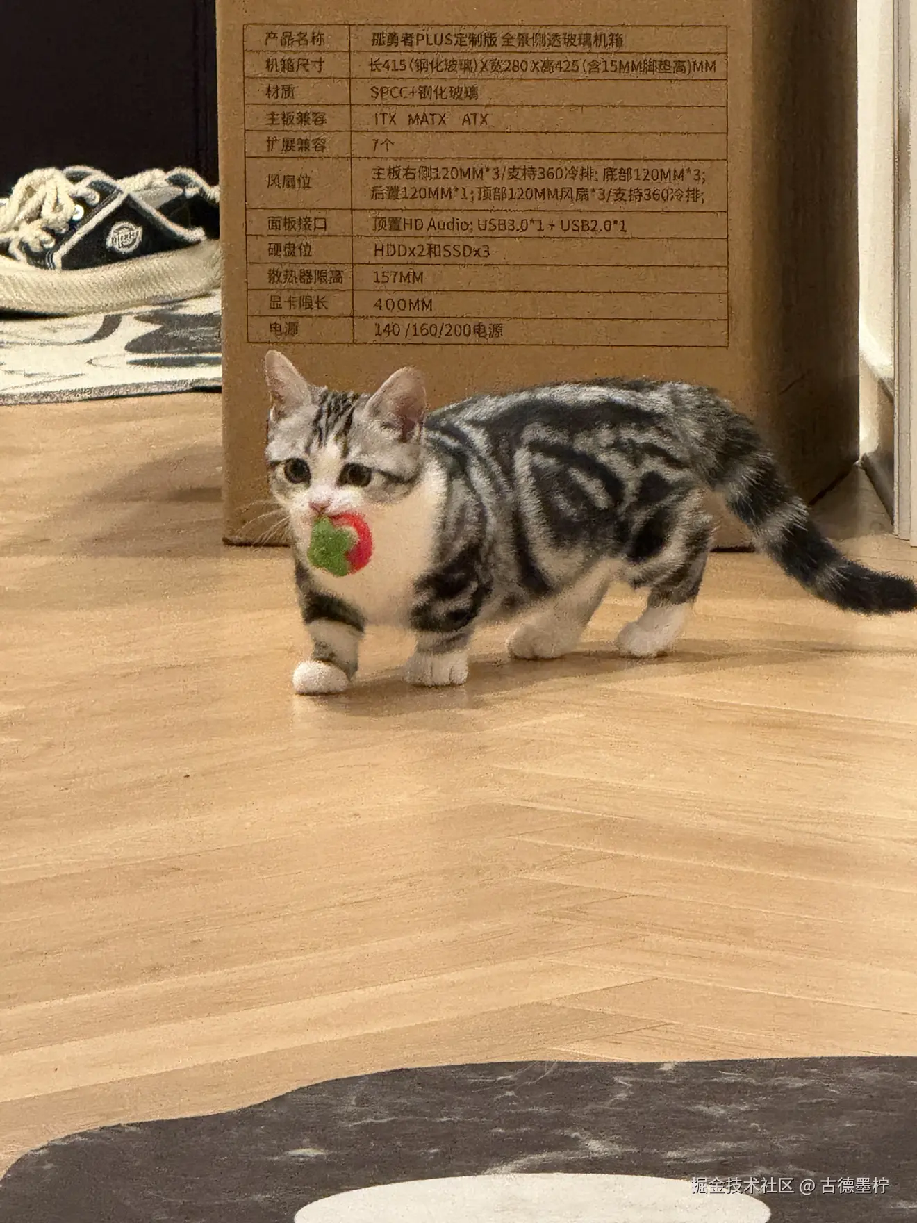 古德墨柠于2026-02-12 16:24发布的图片