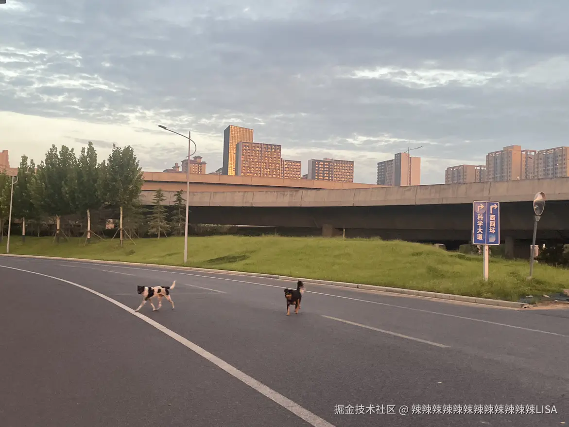 辣辣辣辣辣辣辣辣辣辣辣辣LISA于2024-08-21 06:25发布的图片