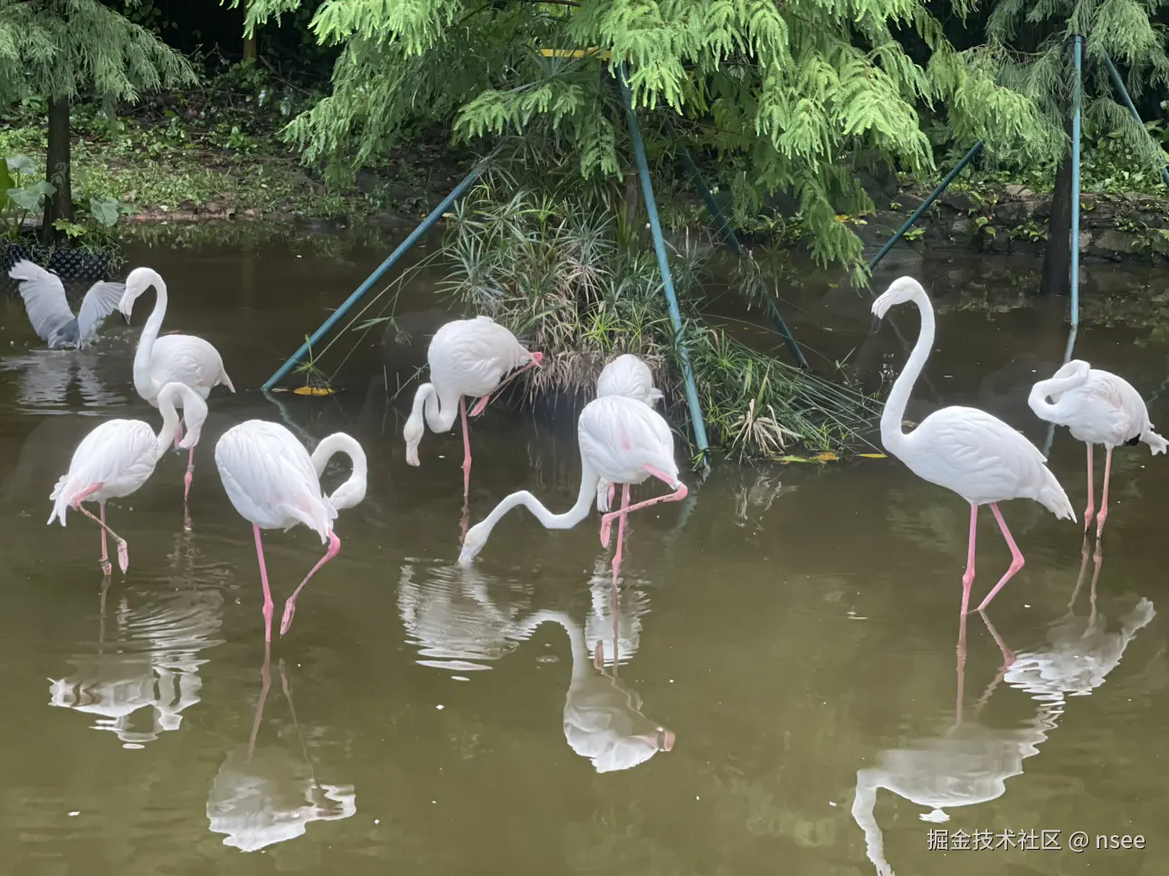 nsee于2025-08-21 16:35发布的图片